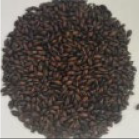 Antioxidants 14 00538 i003