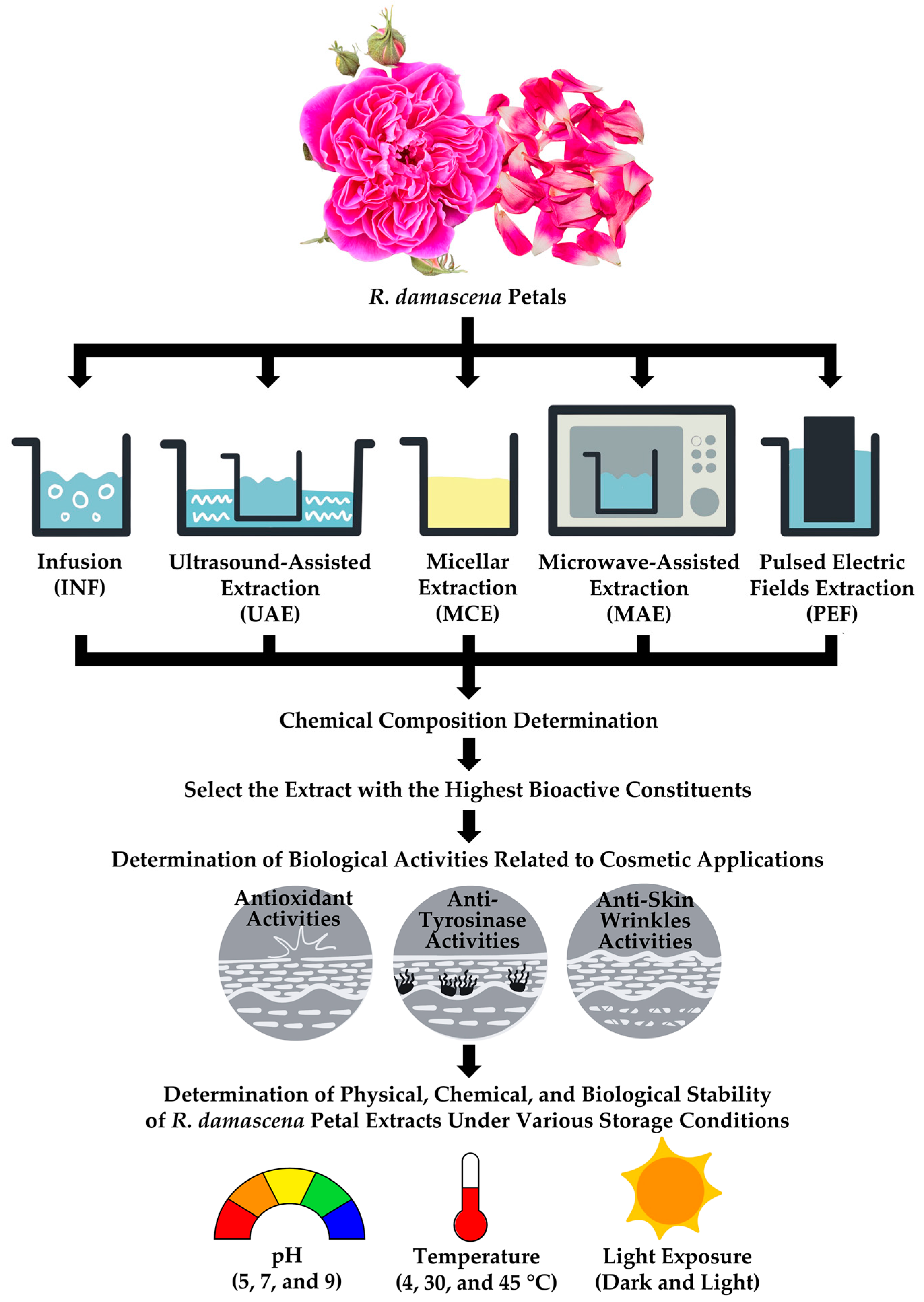 Antioxidants 14 00541 g001