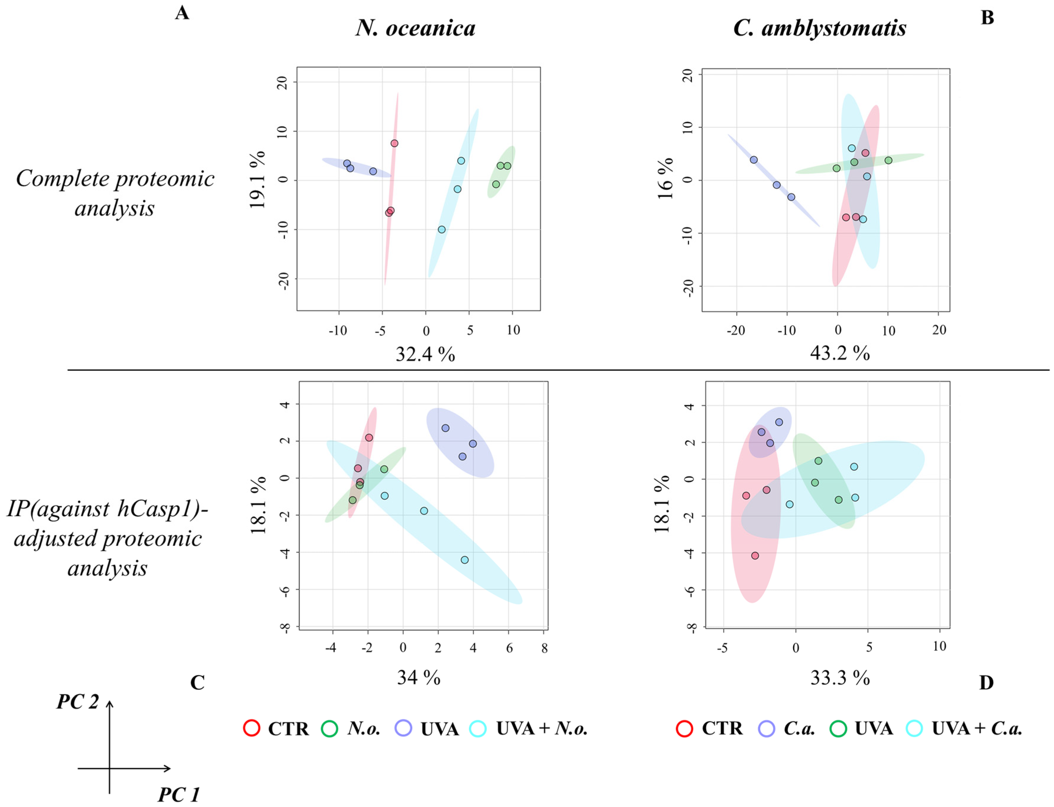 Antioxidants 14 00545 g001