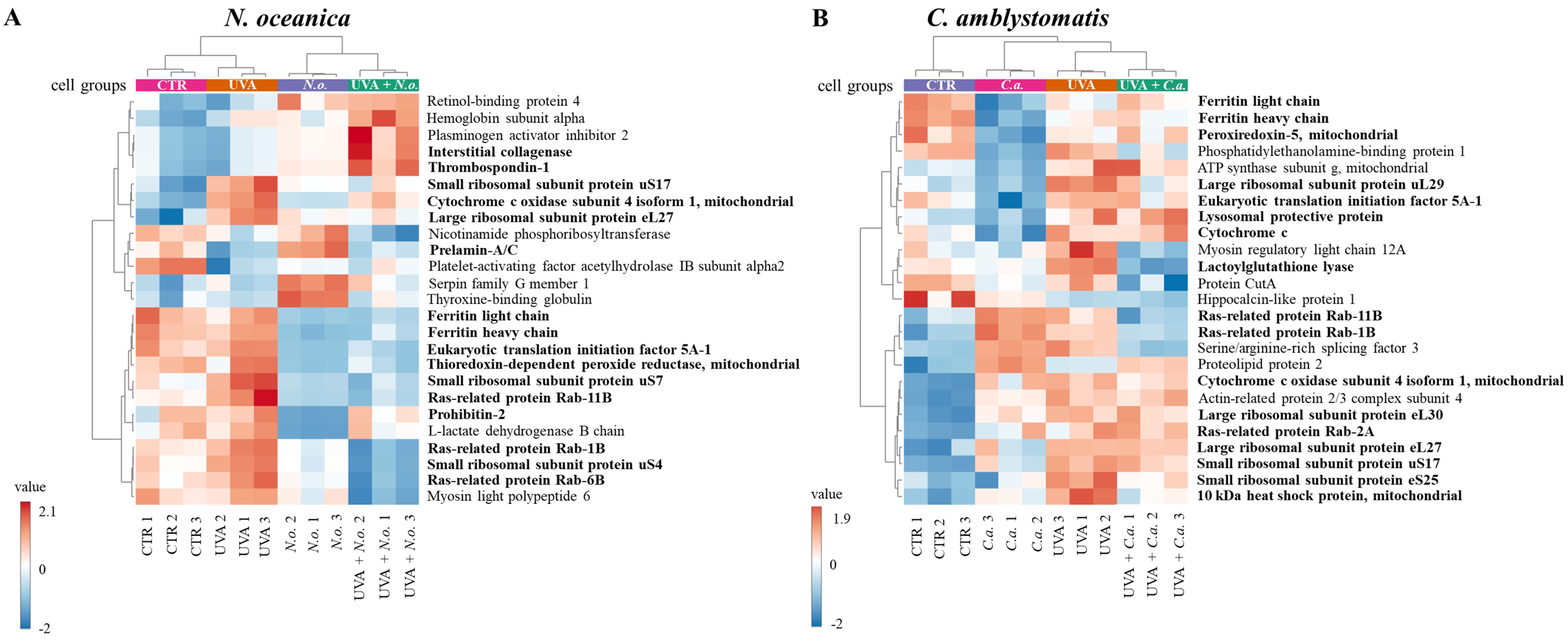 Antioxidants 14 00545 g003