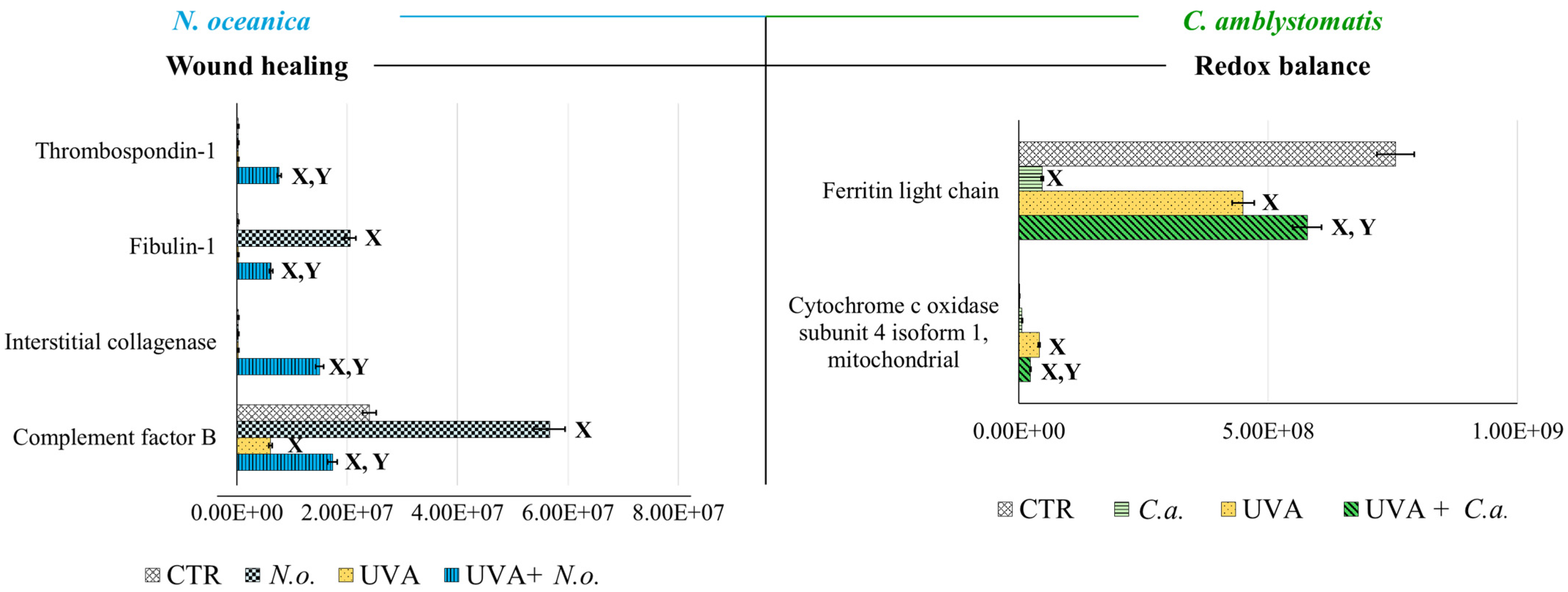 Antioxidants 14 00545 g004