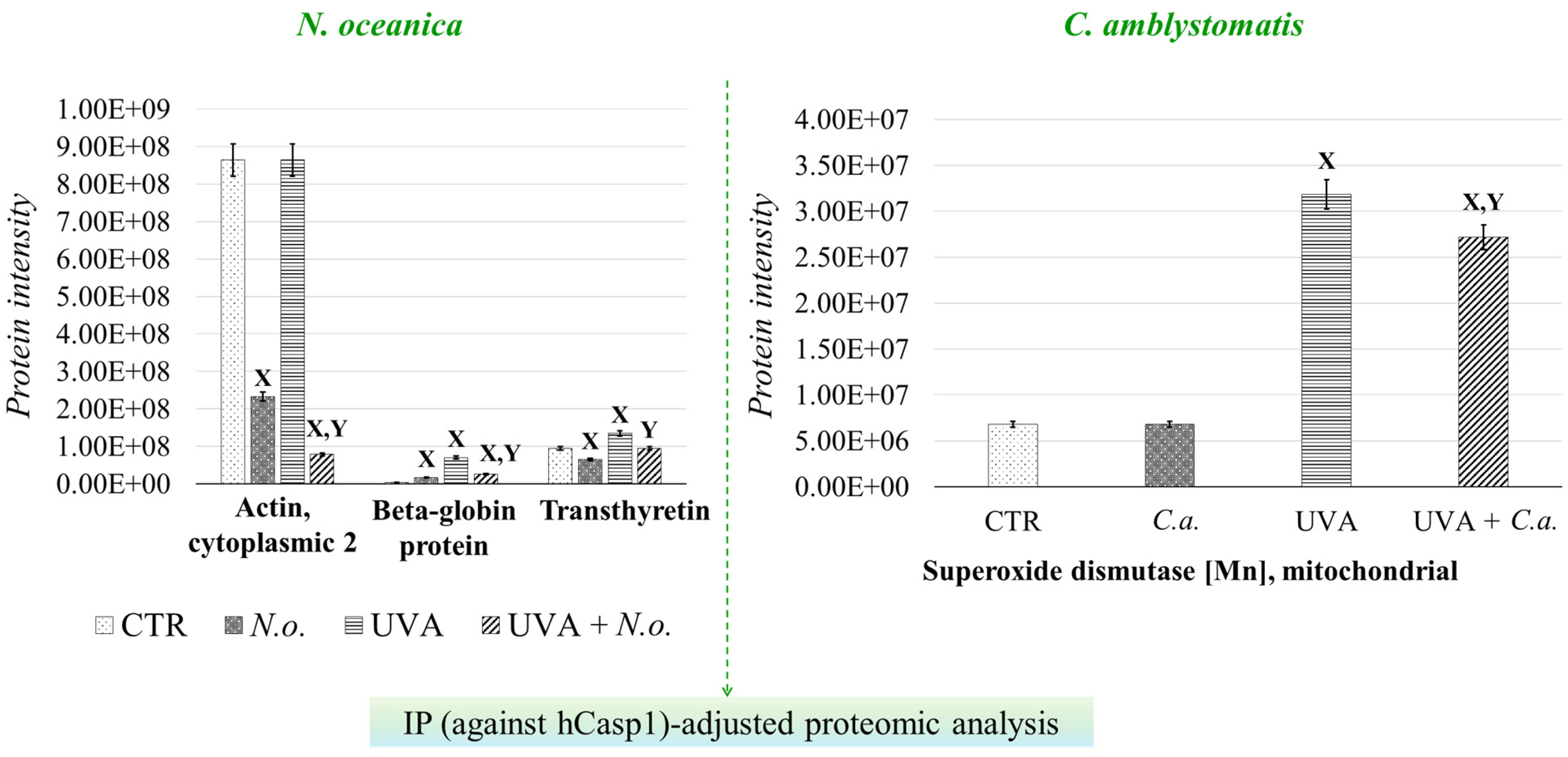 Antioxidants 14 00545 g006