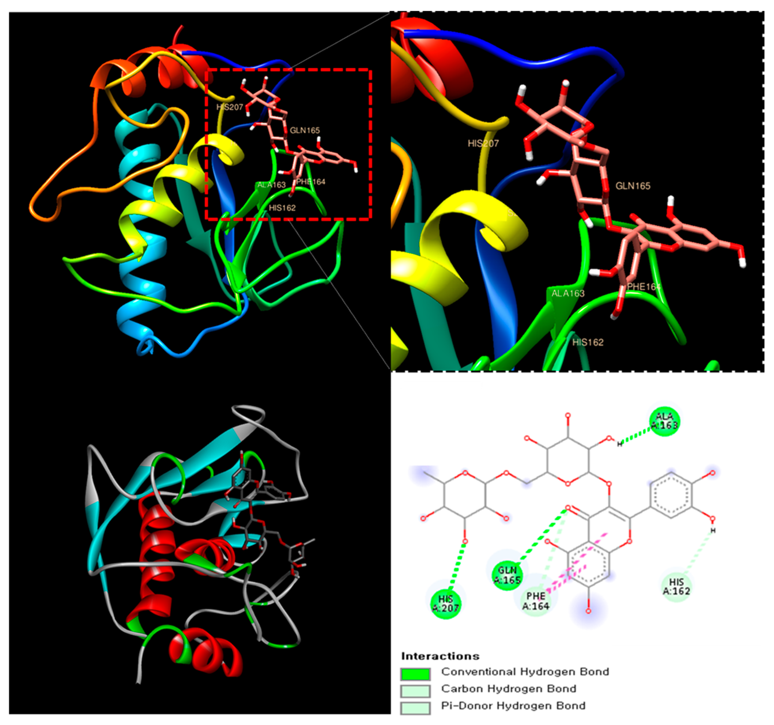 Antioxidants 14 00548 g003