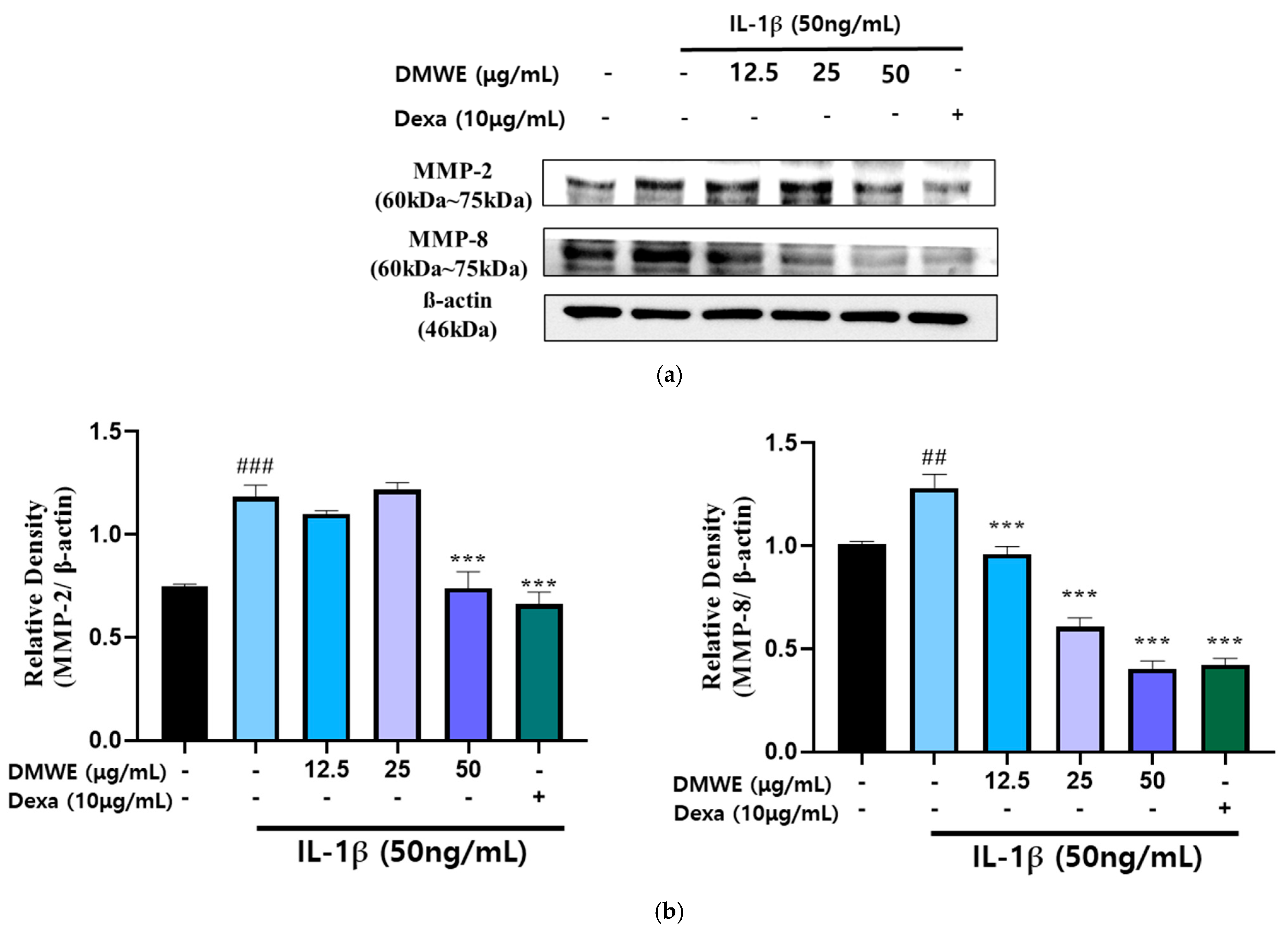 Antioxidants 14 00548 g005