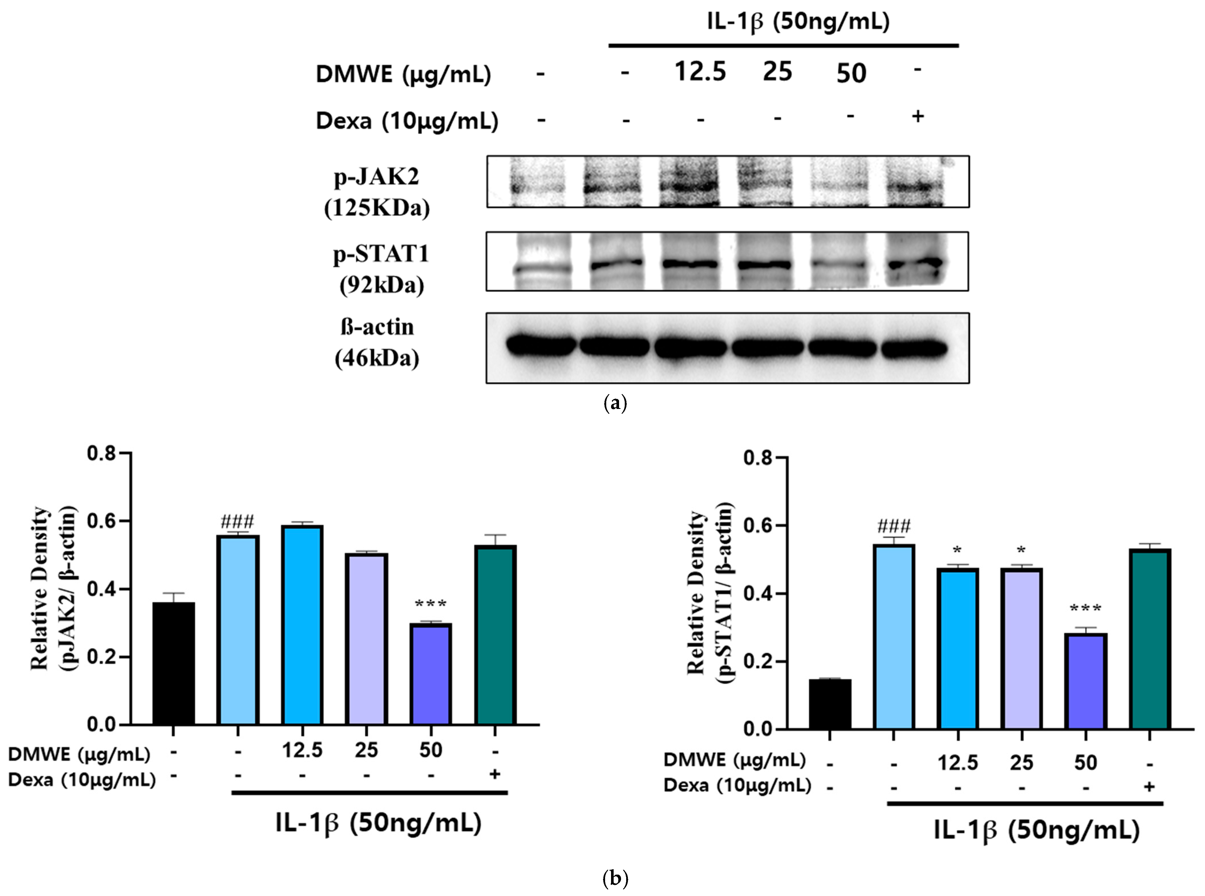 Antioxidants 14 00548 g006