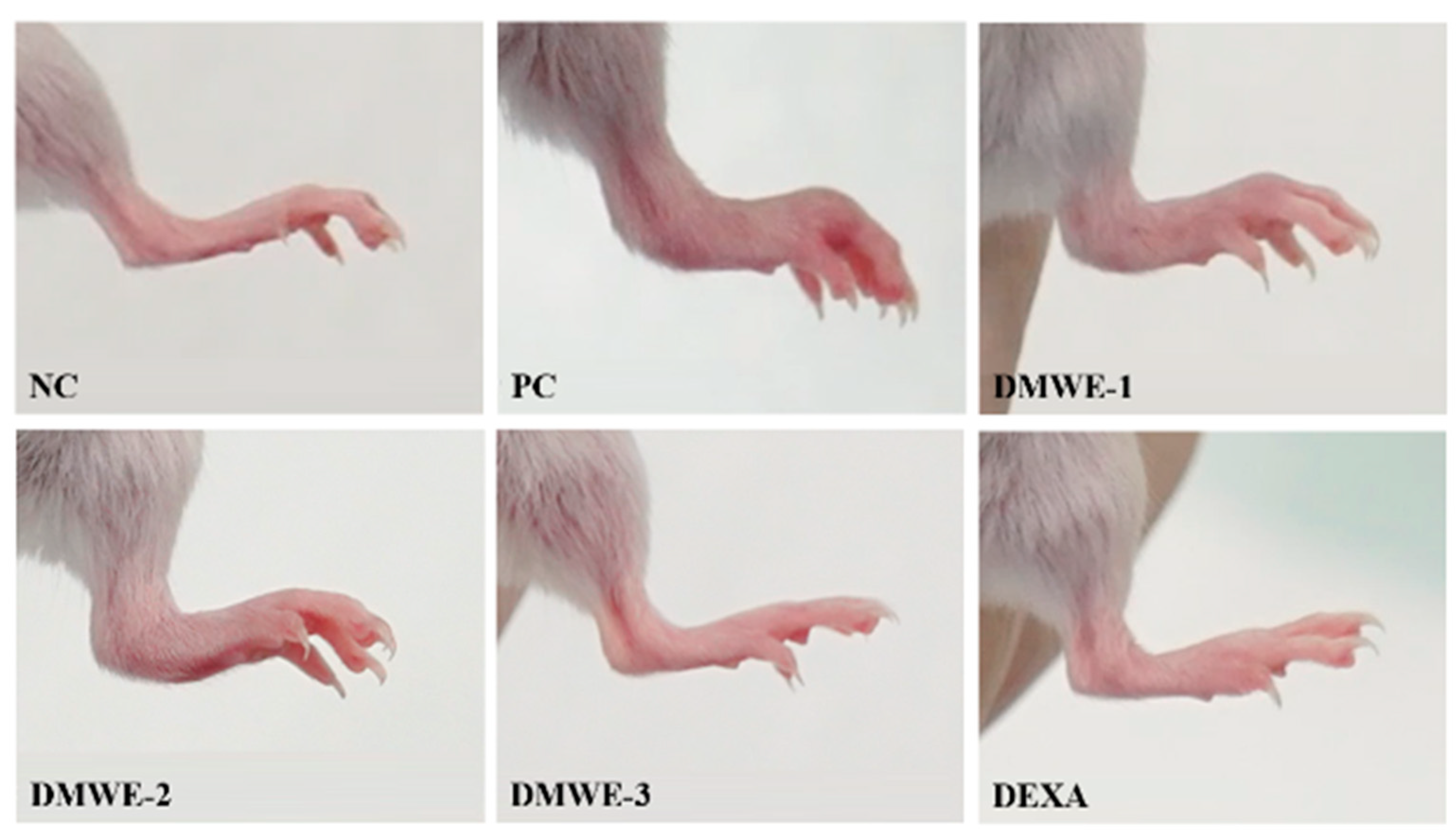 Antioxidants 14 00548 g009