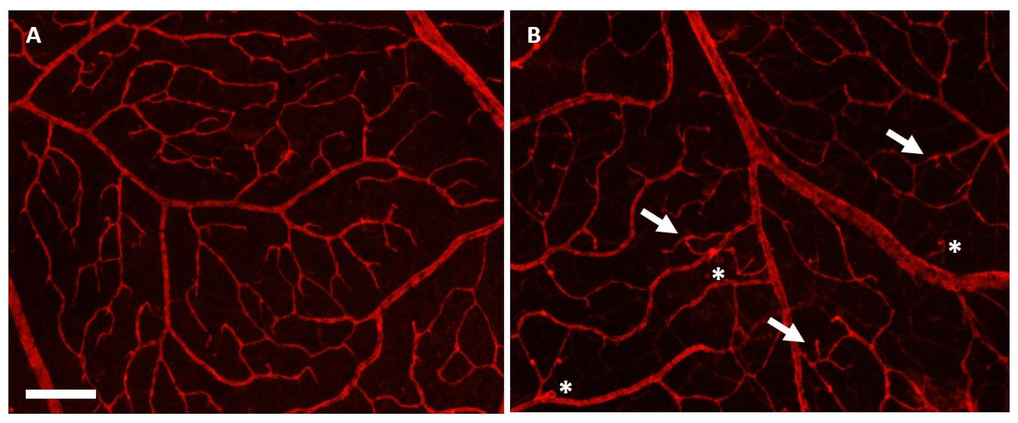 Antioxidants 14 00549 g003