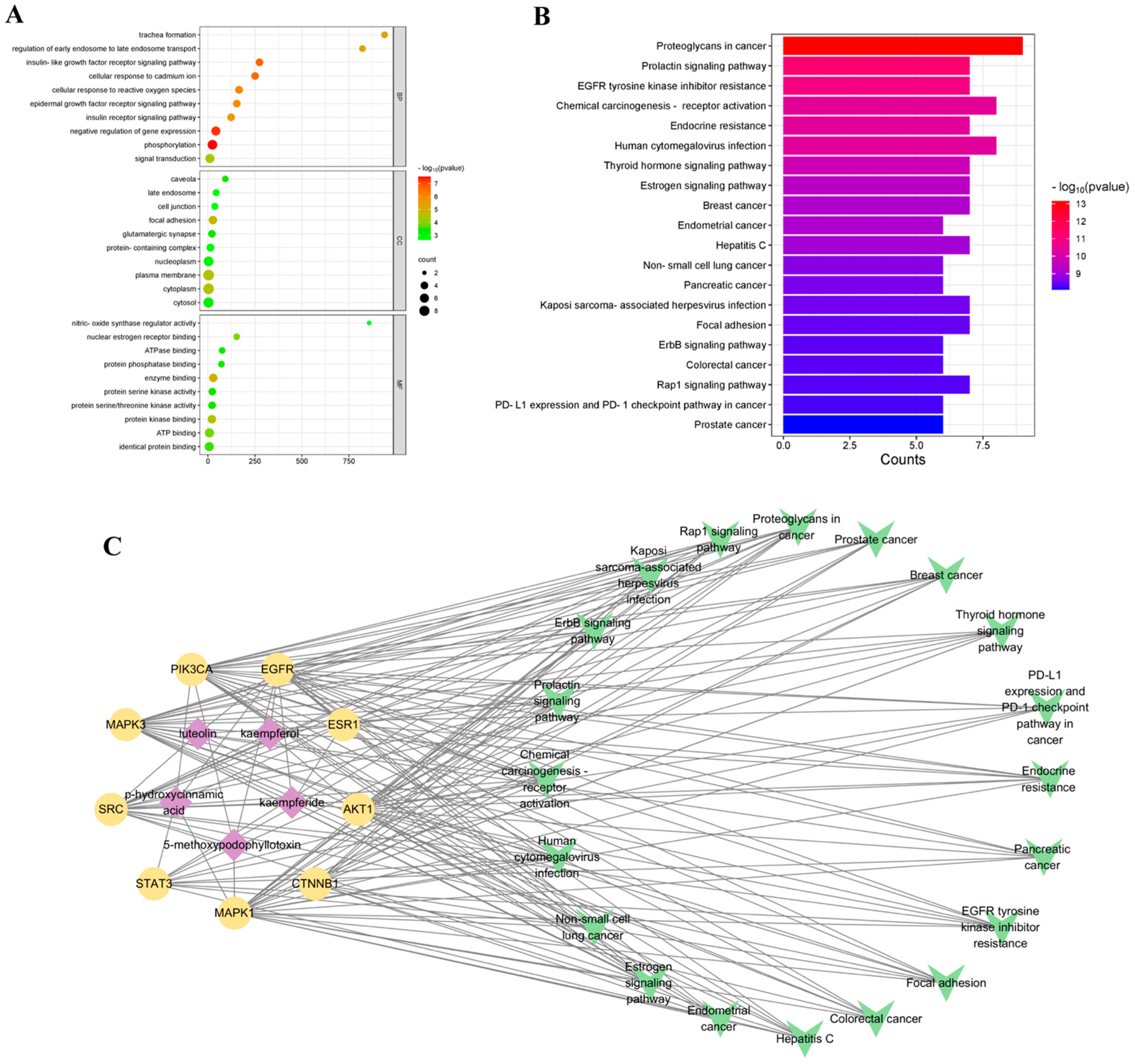 Antioxidants 14 00551 g003