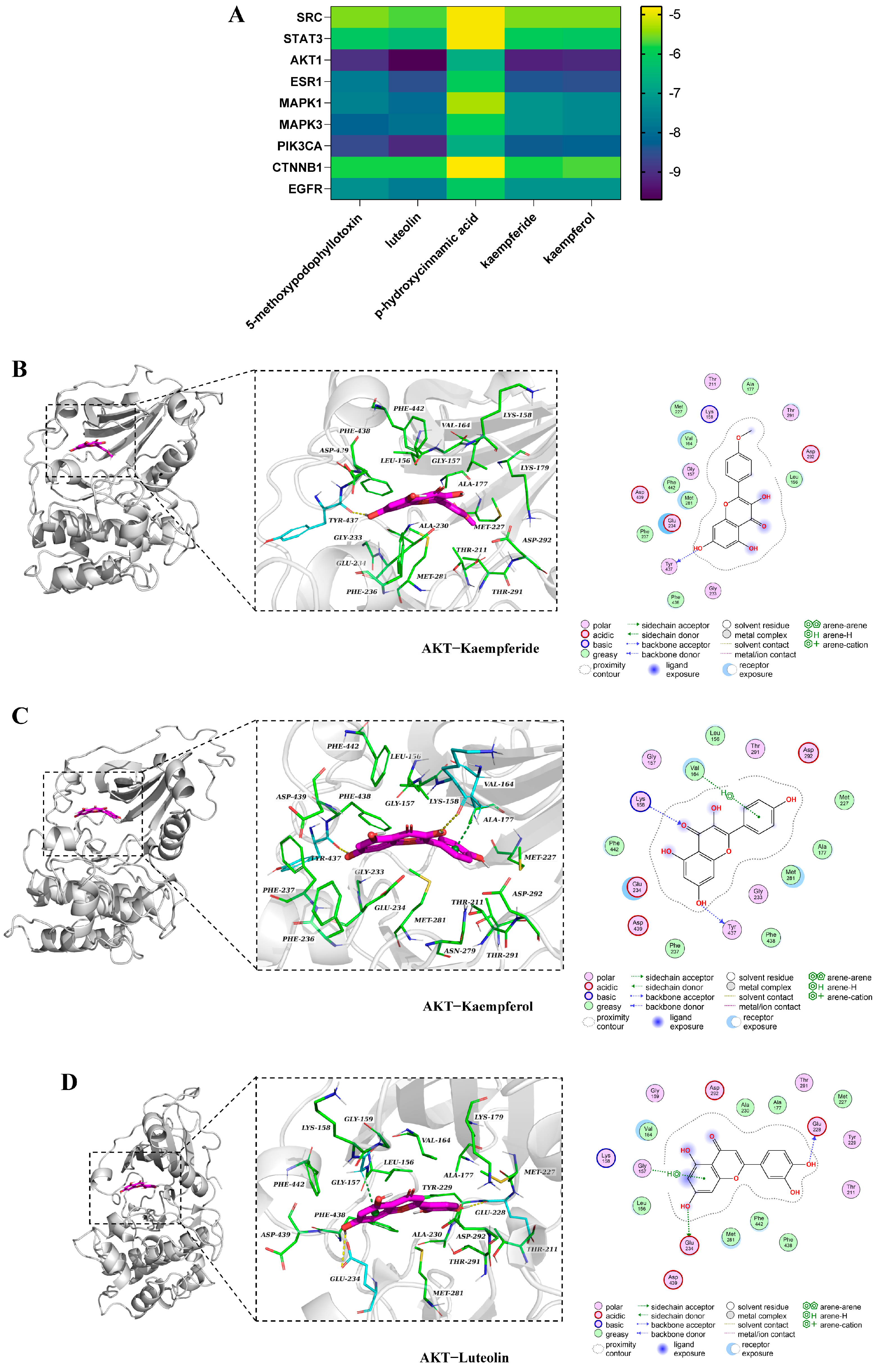 Antioxidants 14 00551 g004