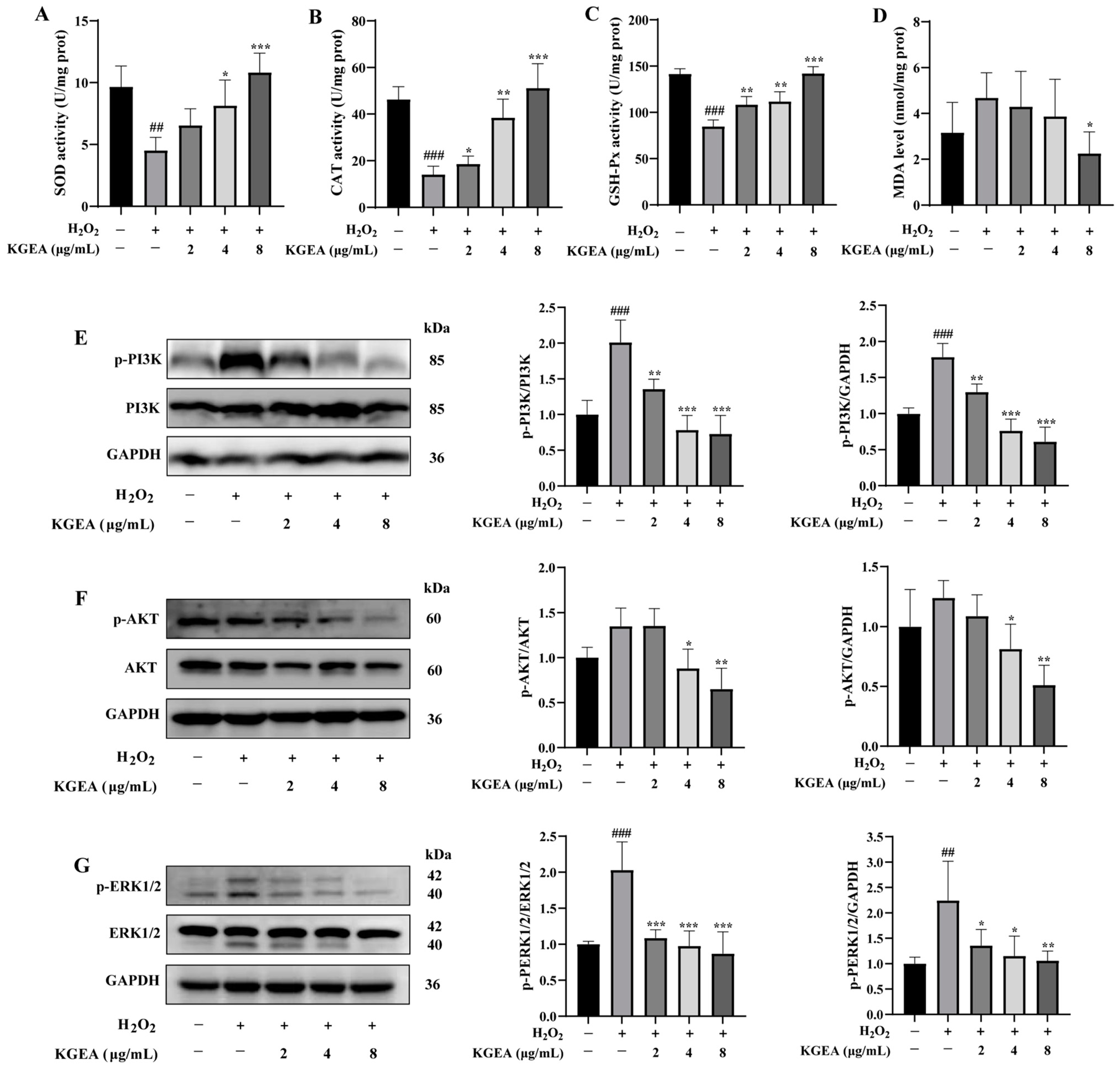 Antioxidants 14 00551 g007