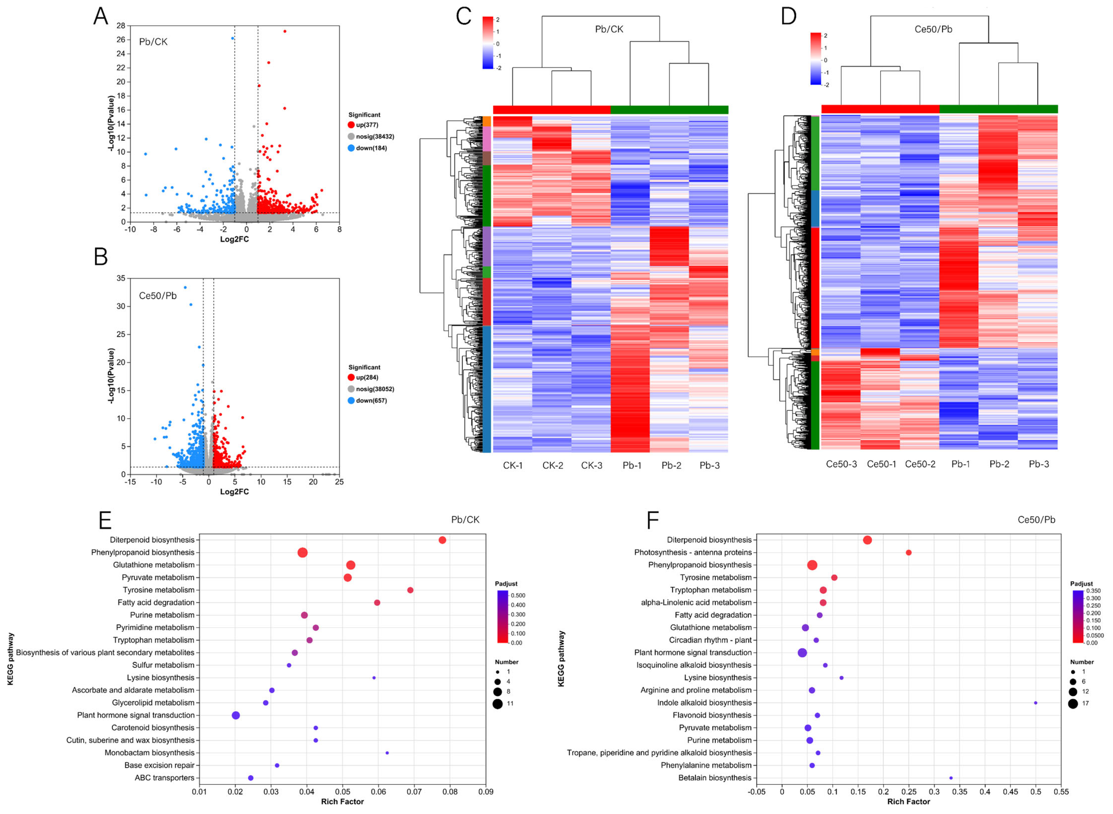 Antioxidants 14 00552 g004