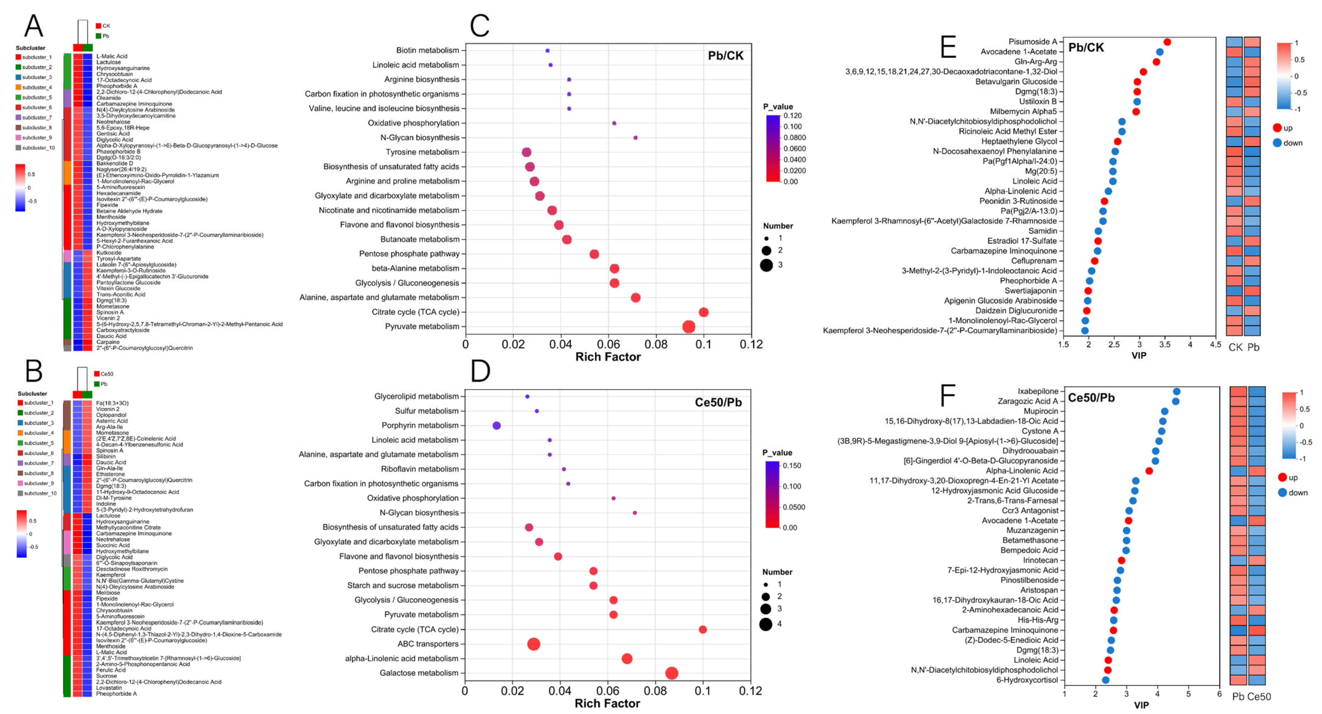 Antioxidants 14 00552 g007