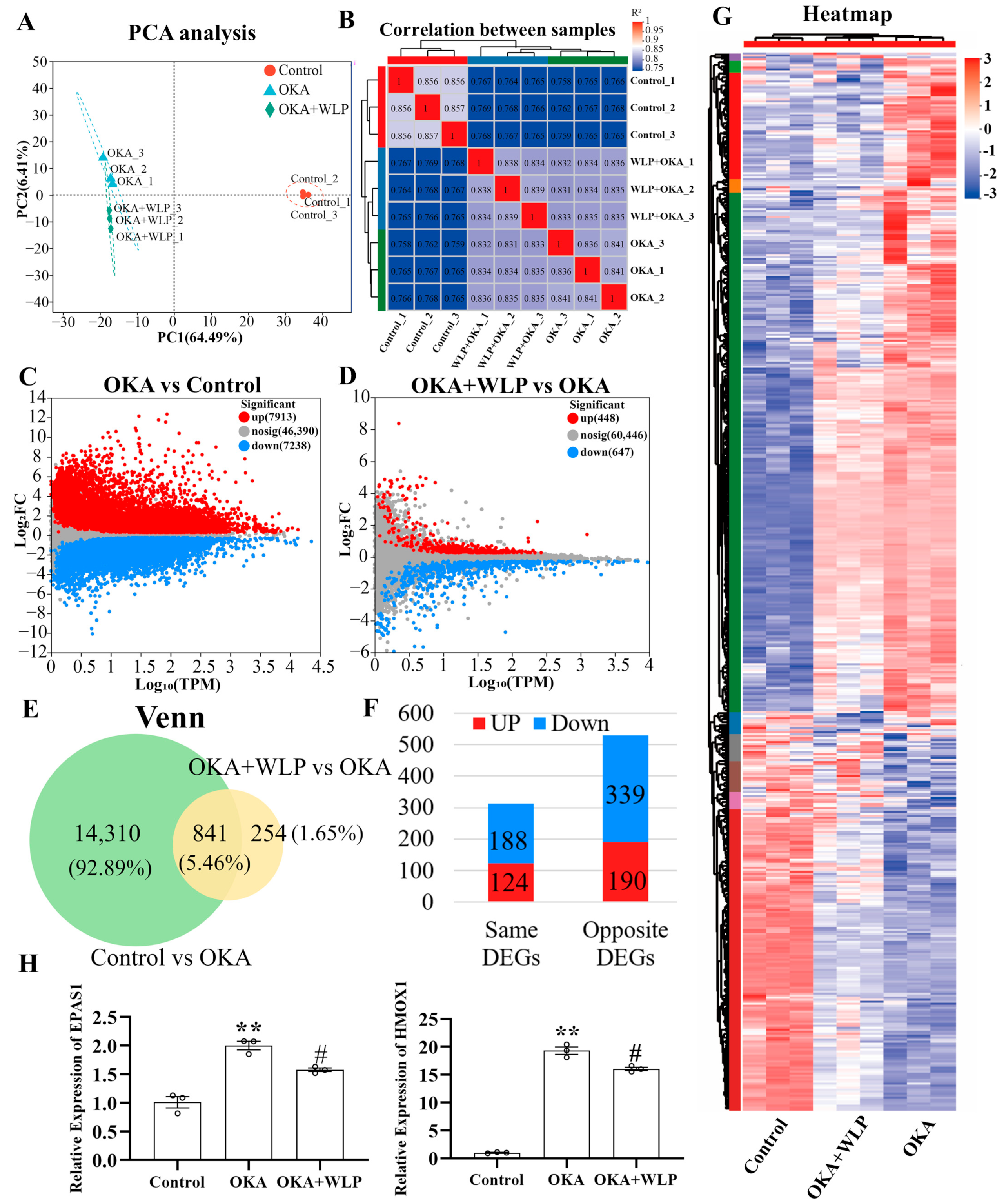 Antioxidants 14 00553 g005
