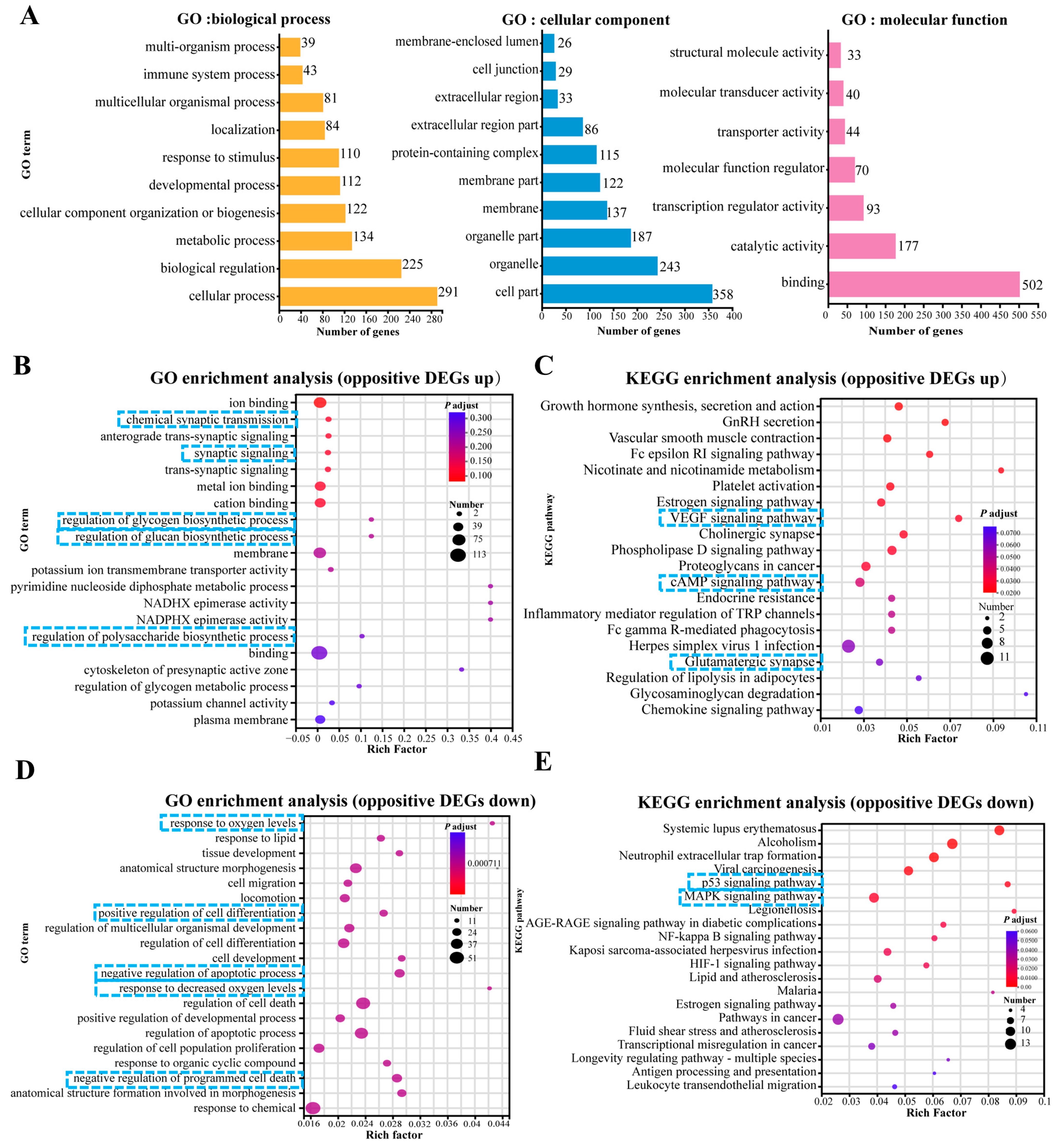 Antioxidants 14 00553 g006