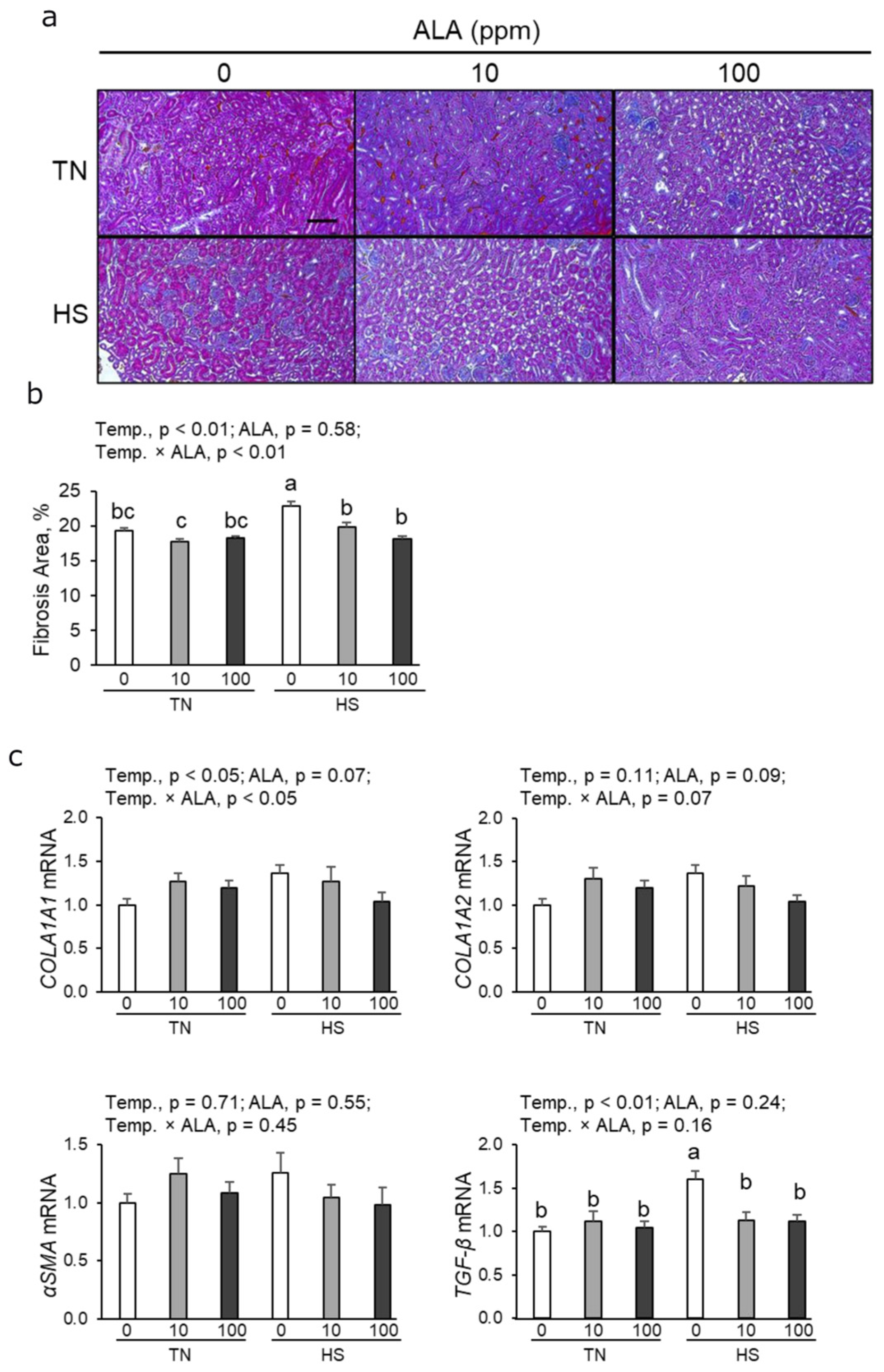 Antioxidants 14 00556 g001