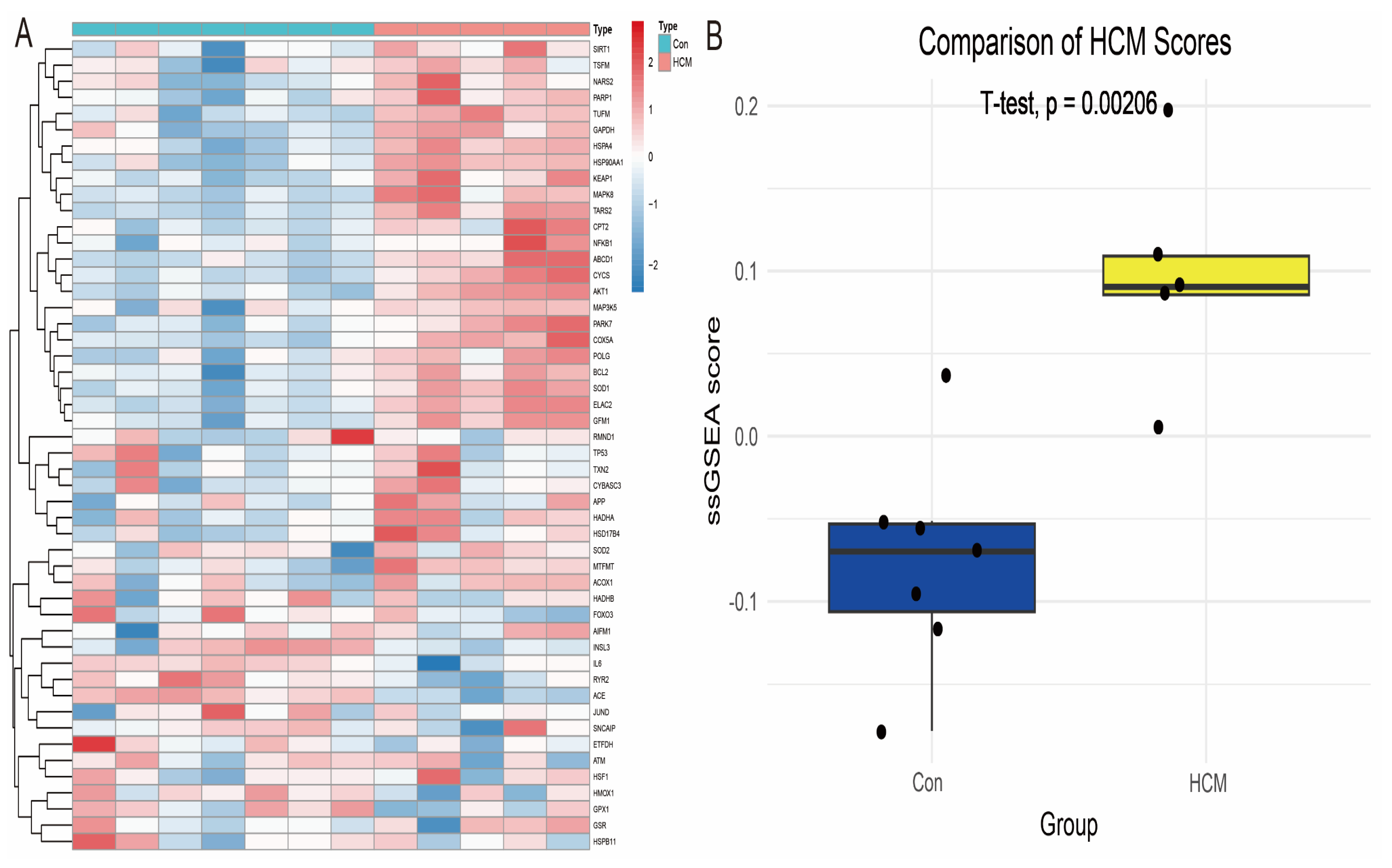 Antioxidants 14 00557 g002