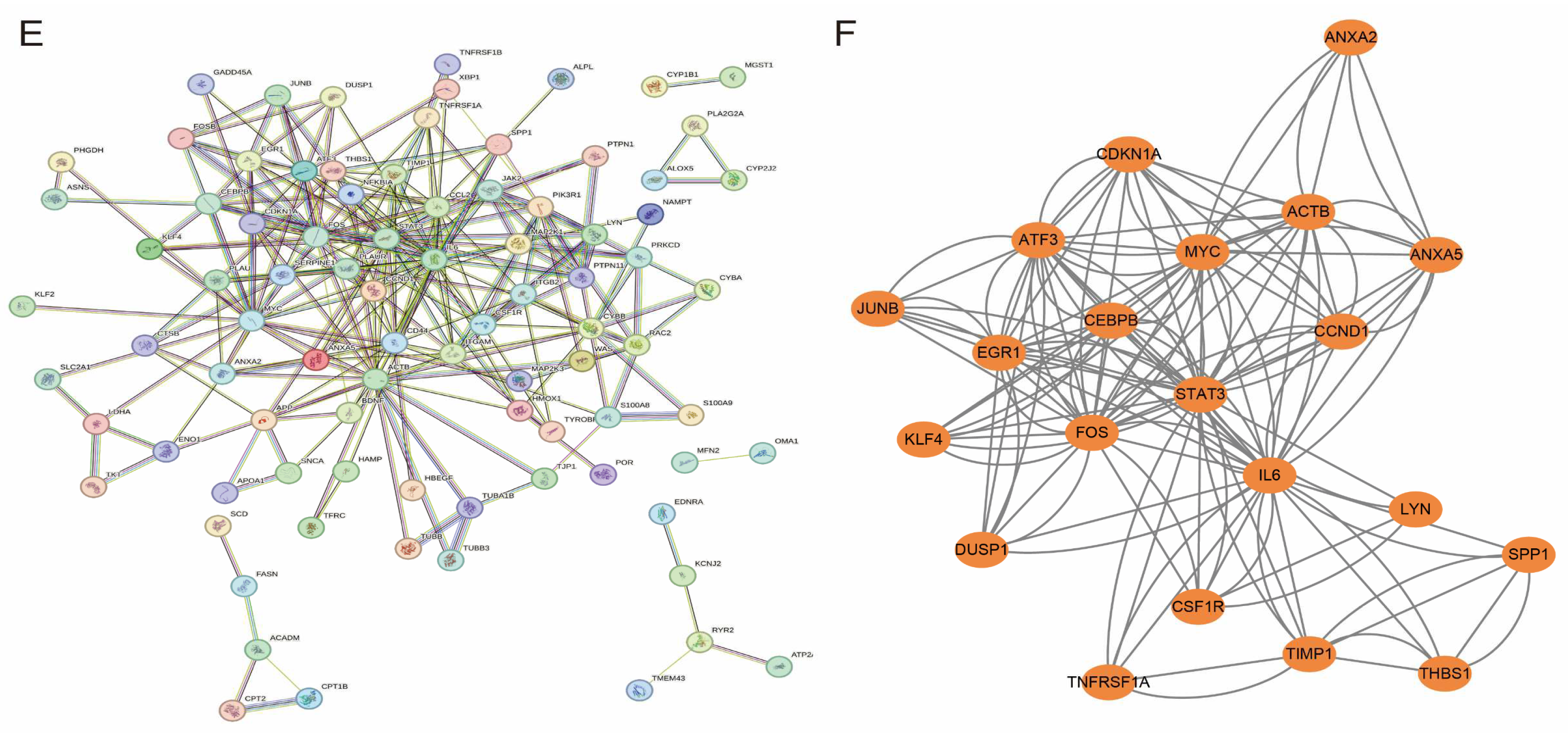Antioxidants 14 00557 g005b