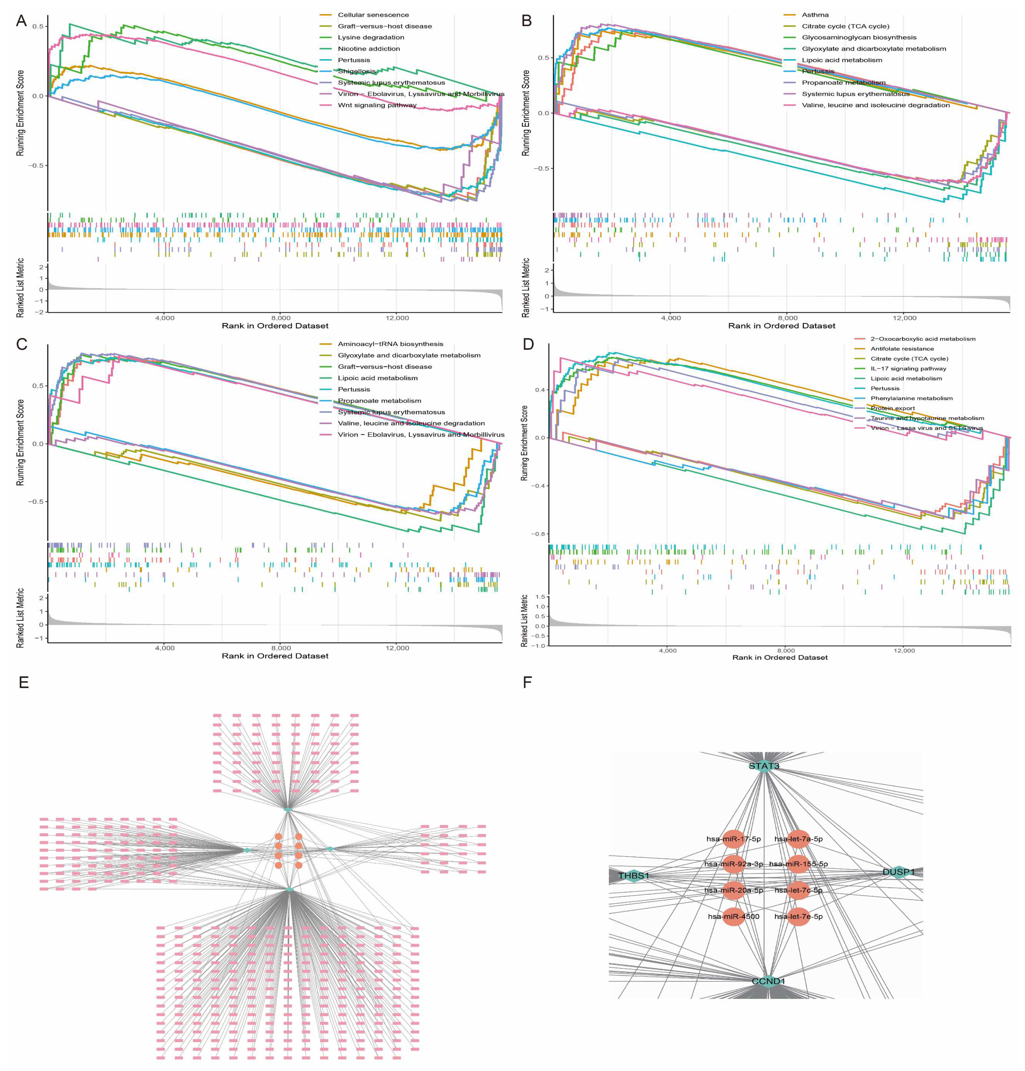 Antioxidants 14 00557 g009