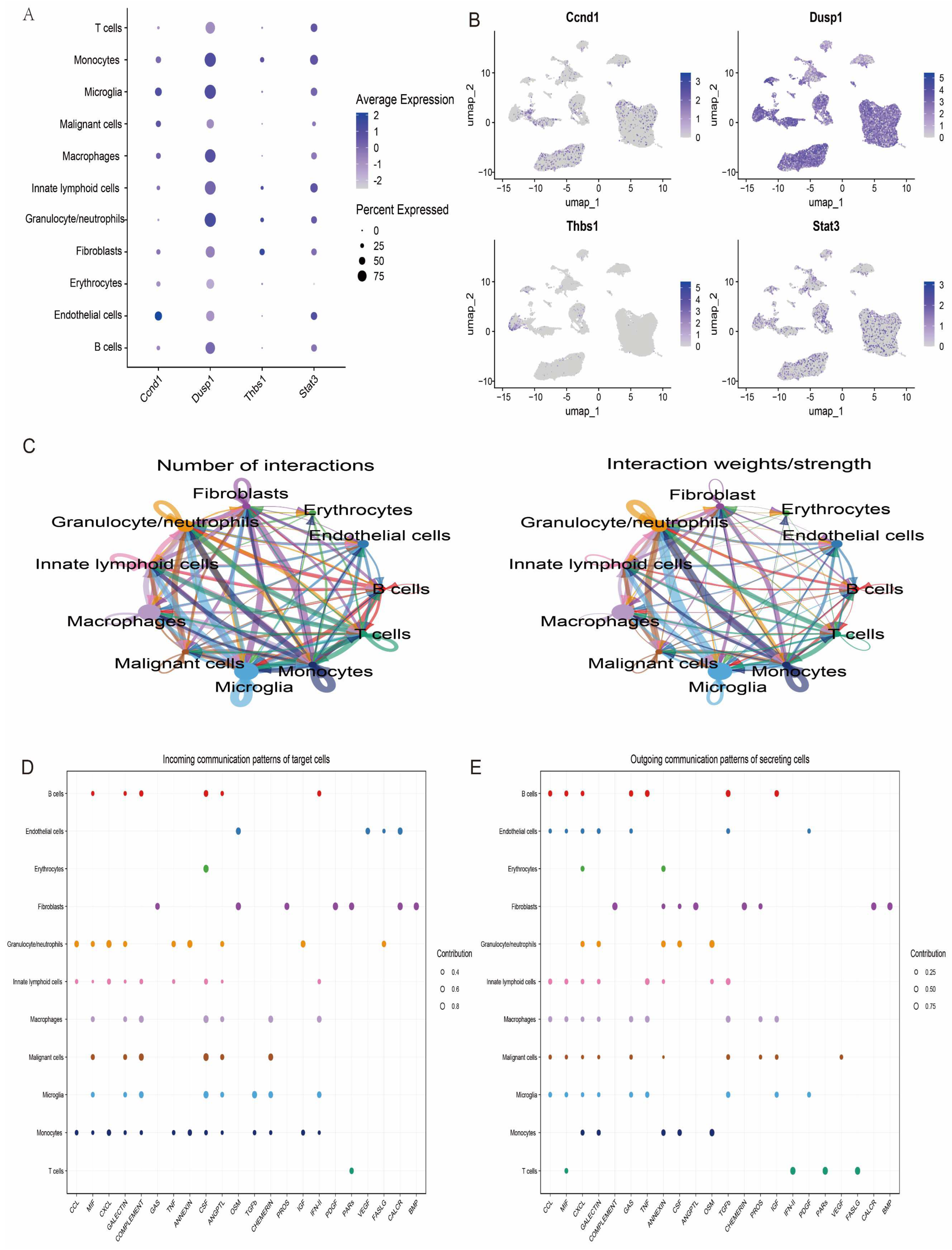 Antioxidants 14 00557 g011
