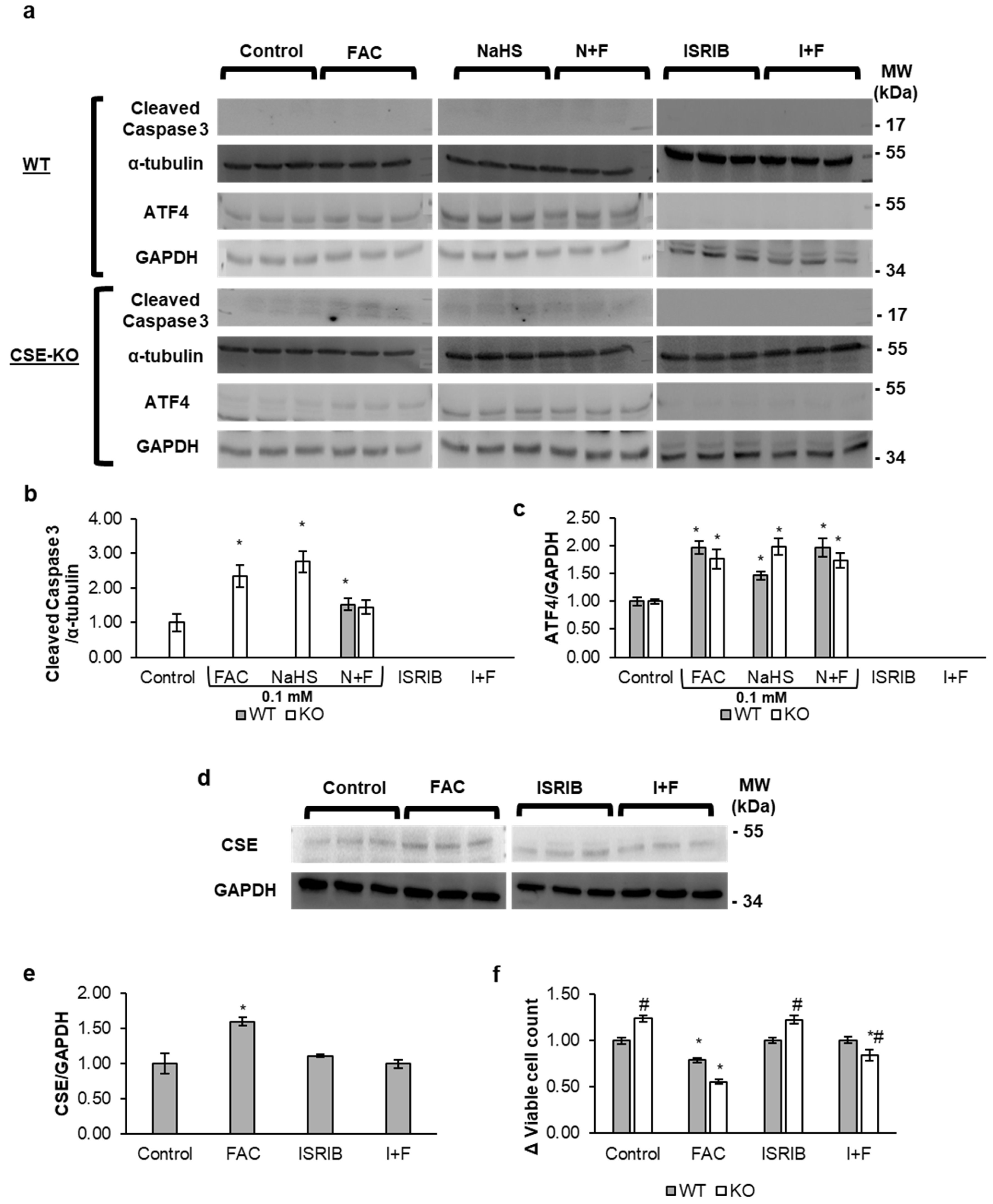 Antioxidants 14 00560 g005