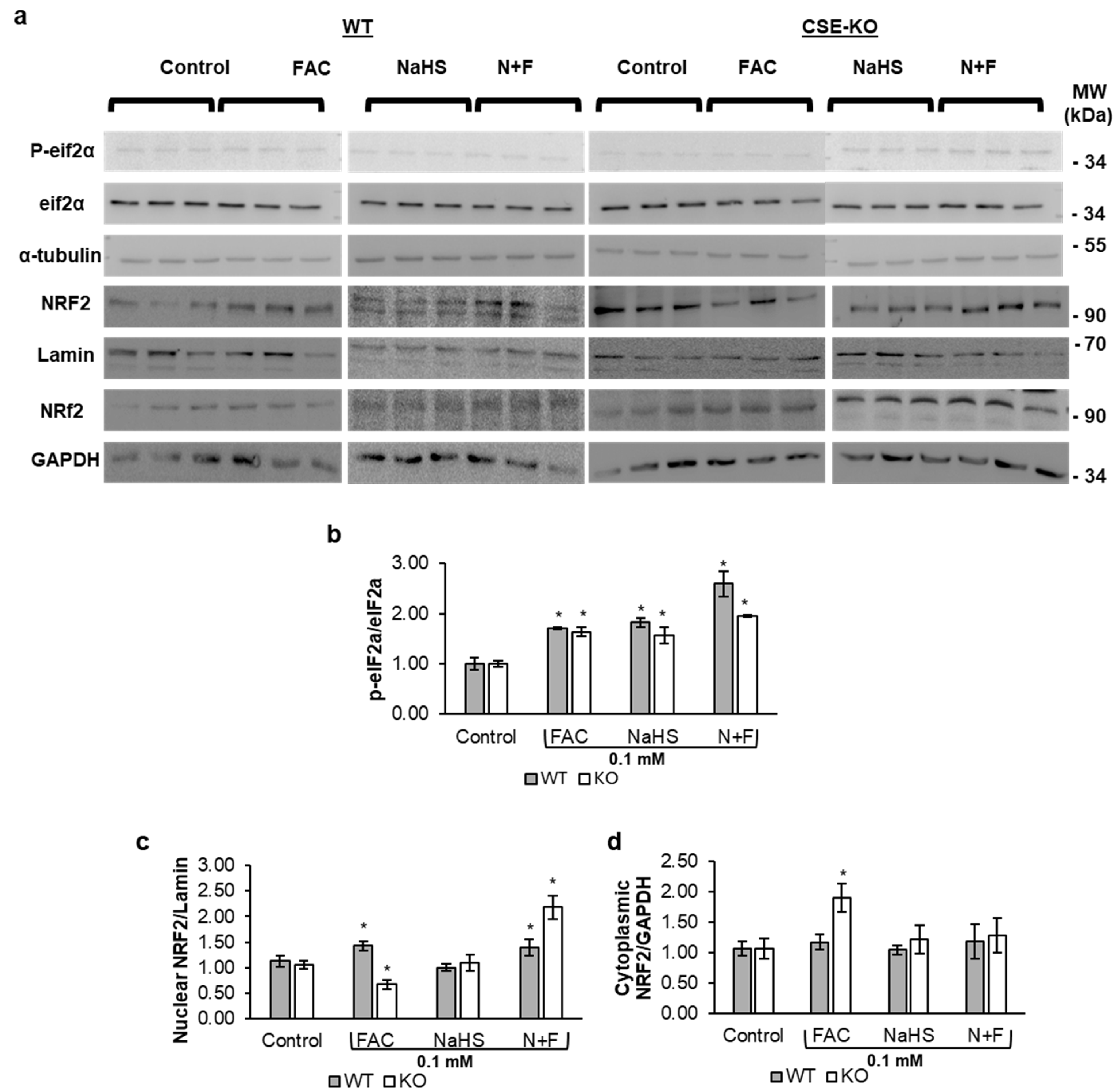 Antioxidants 14 00560 g006
