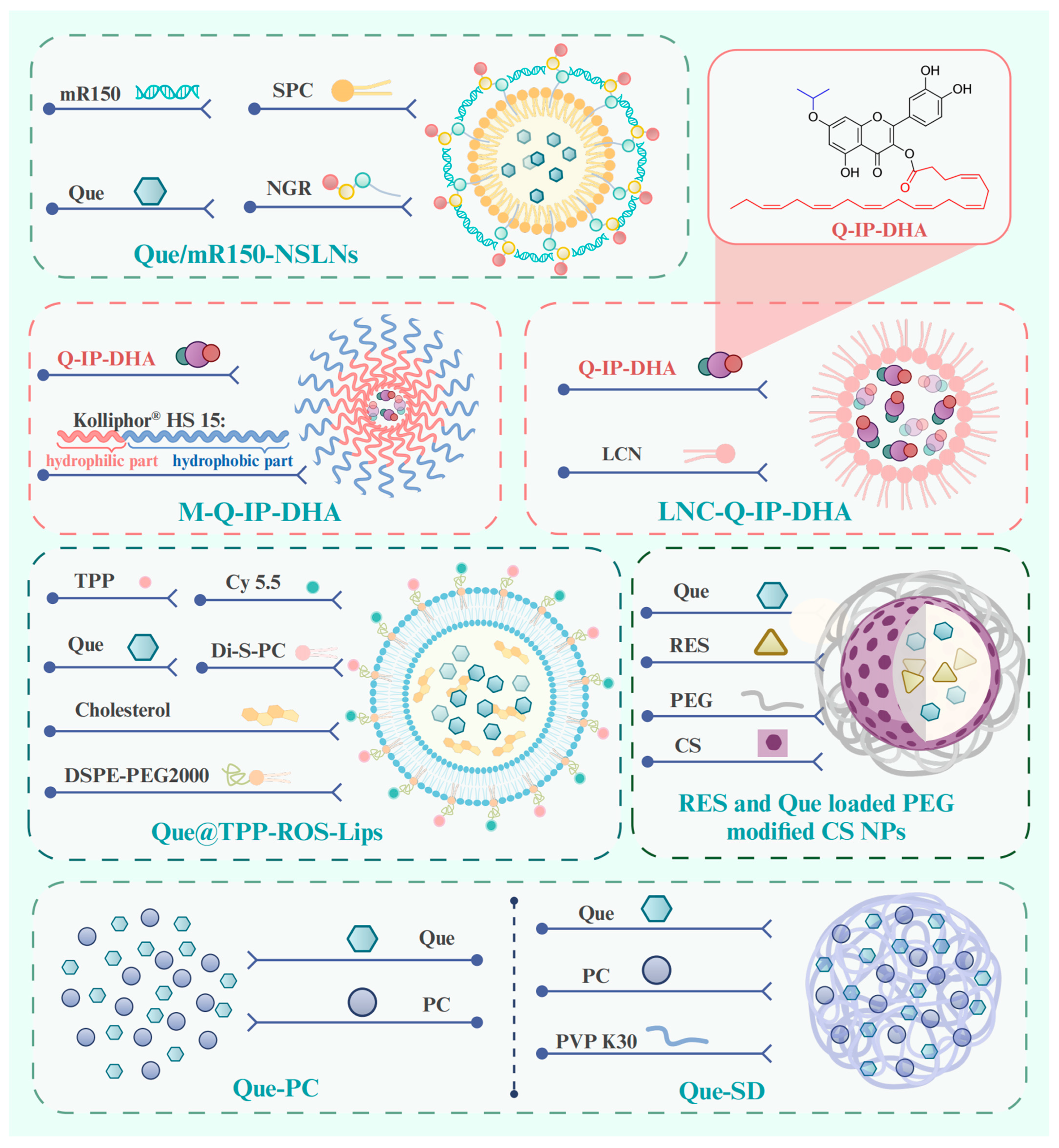 Antioxidants 14 00561 g005