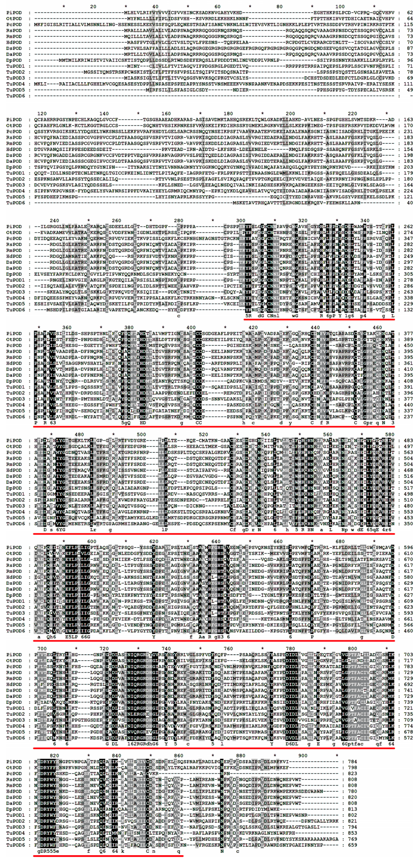Antioxidants 14 00562 g002