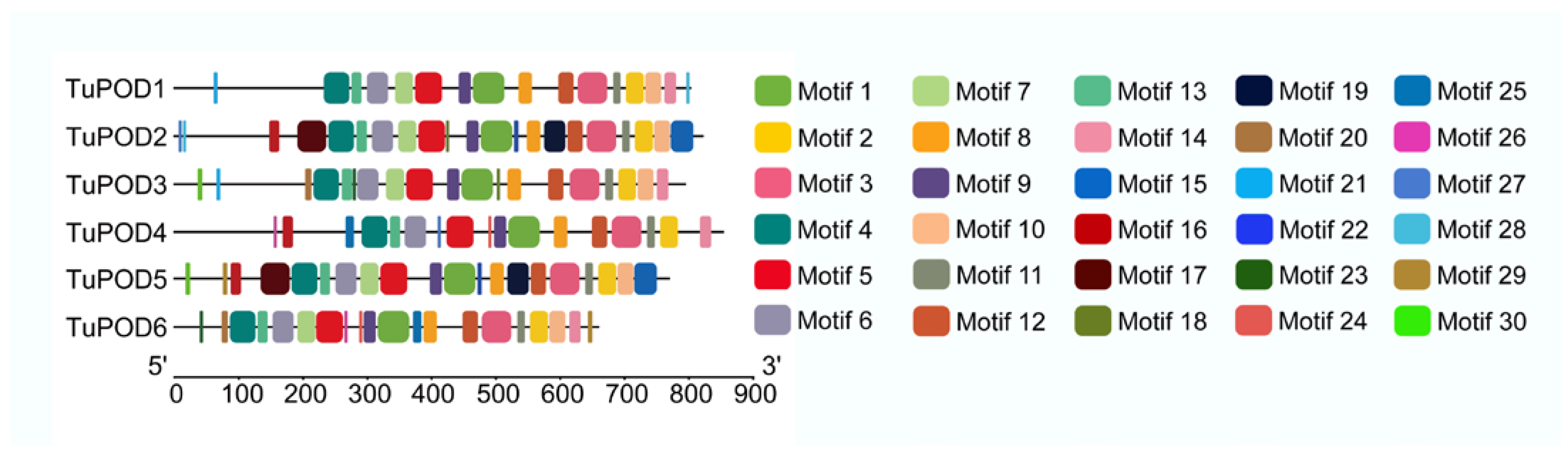 Antioxidants 14 00562 g003