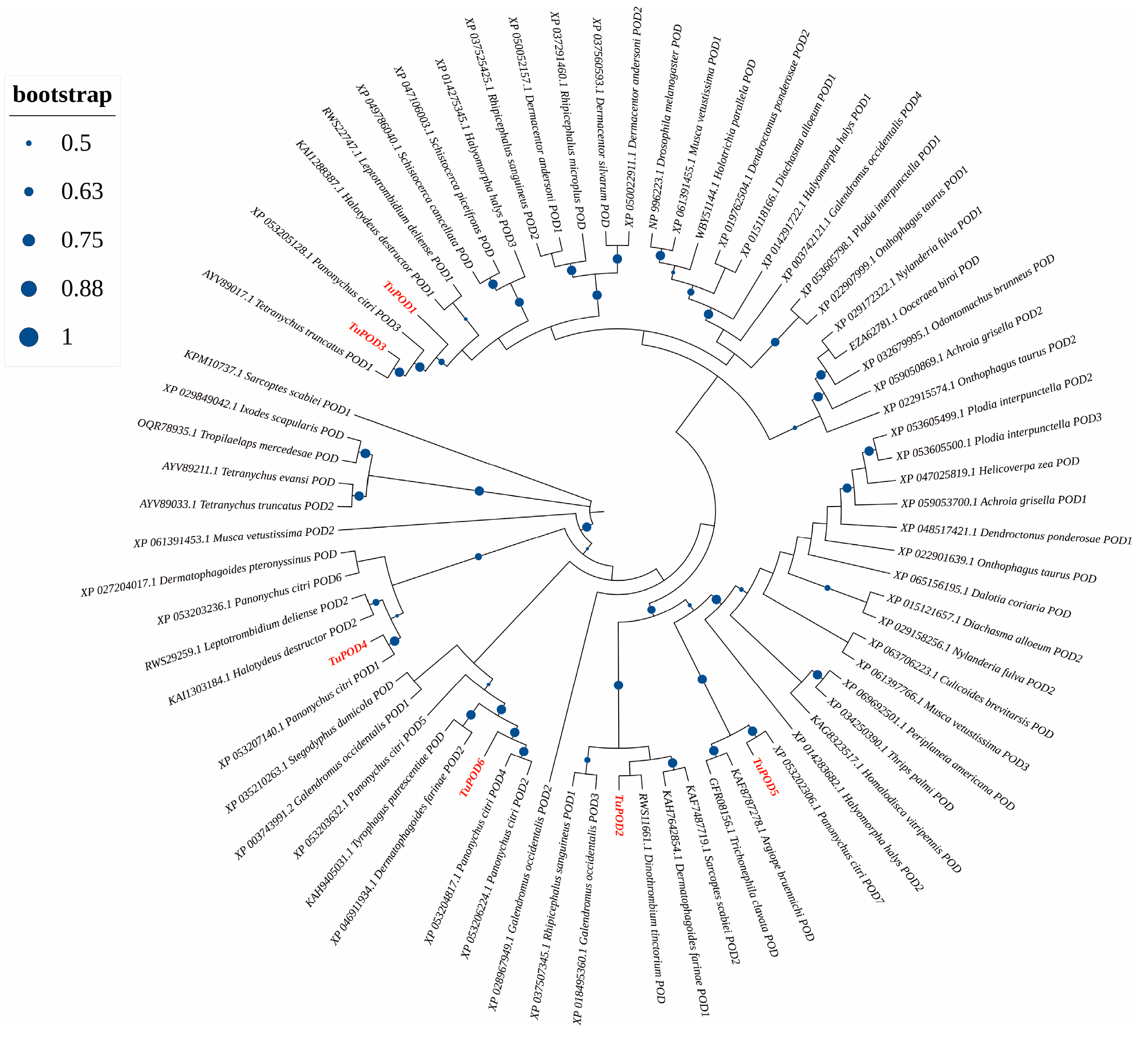Antioxidants 14 00562 g004