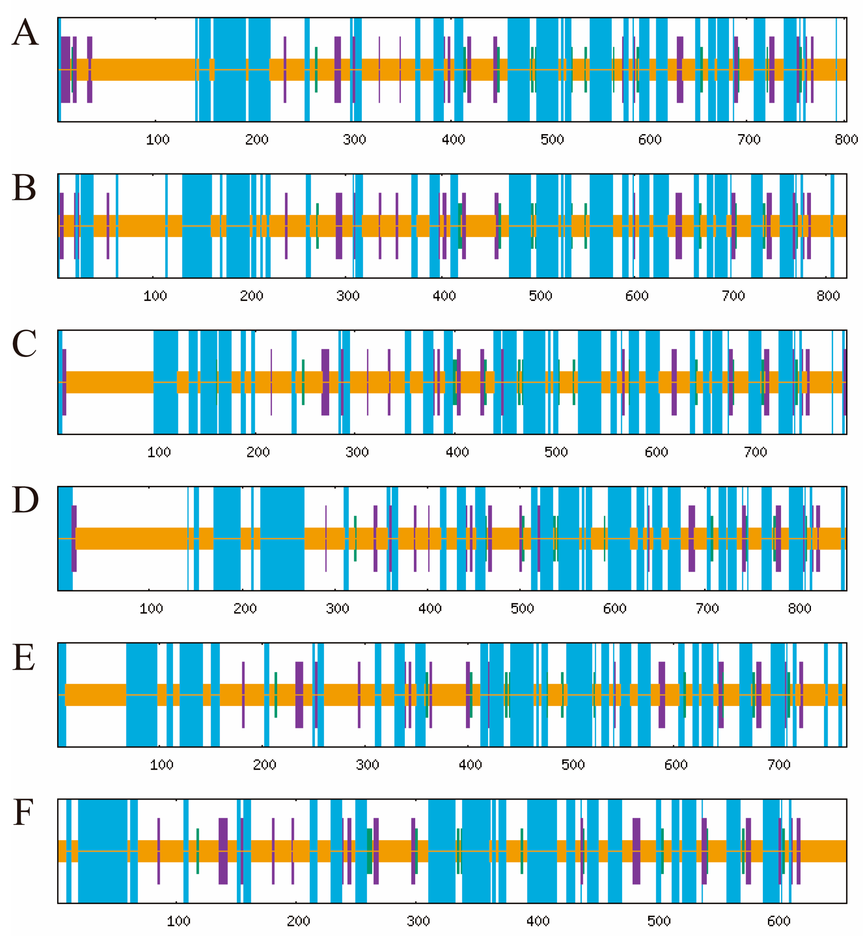 Antioxidants 14 00562 g005