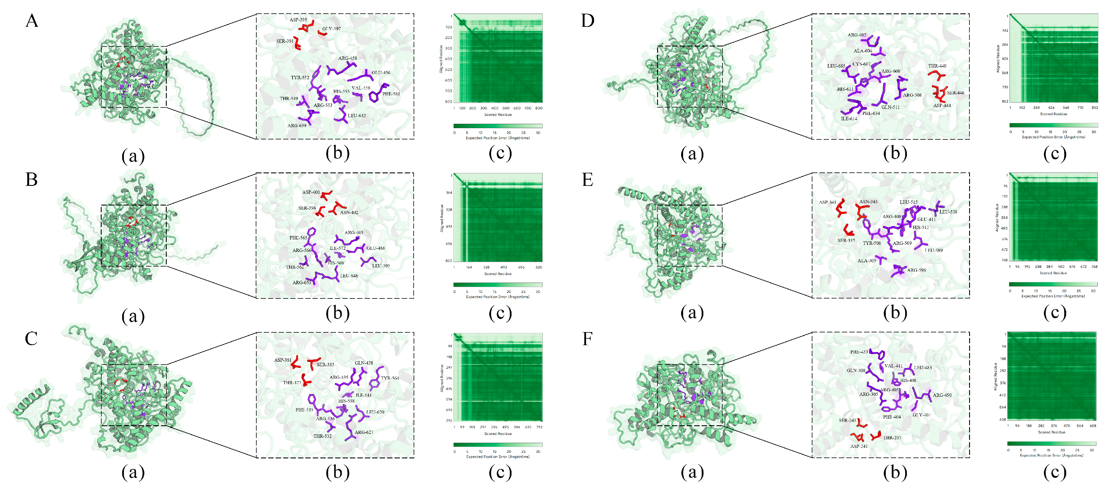 Antioxidants 14 00562 g006