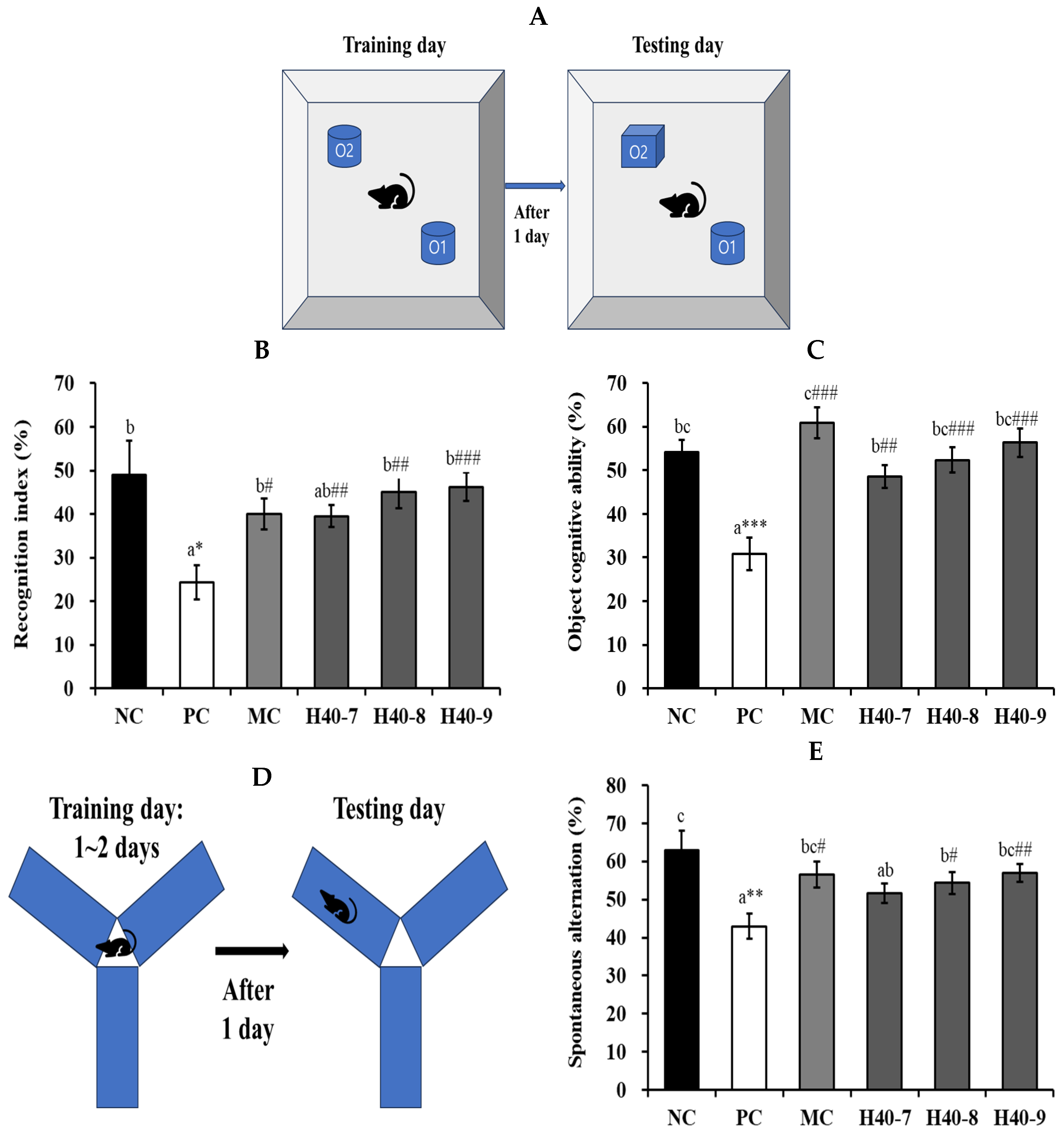 Antioxidants 14 00565 g002