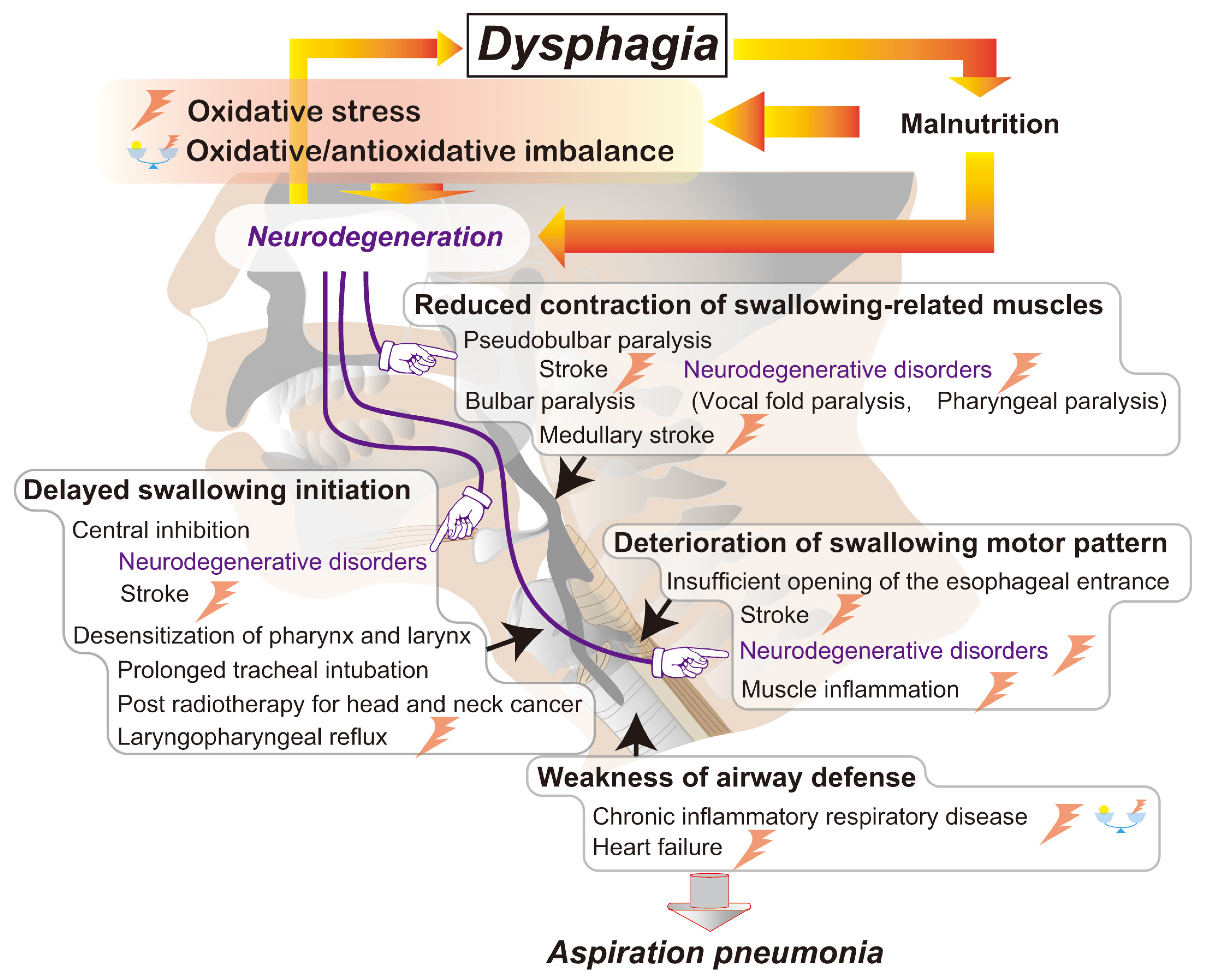 Antioxidants 14 00568 g002
