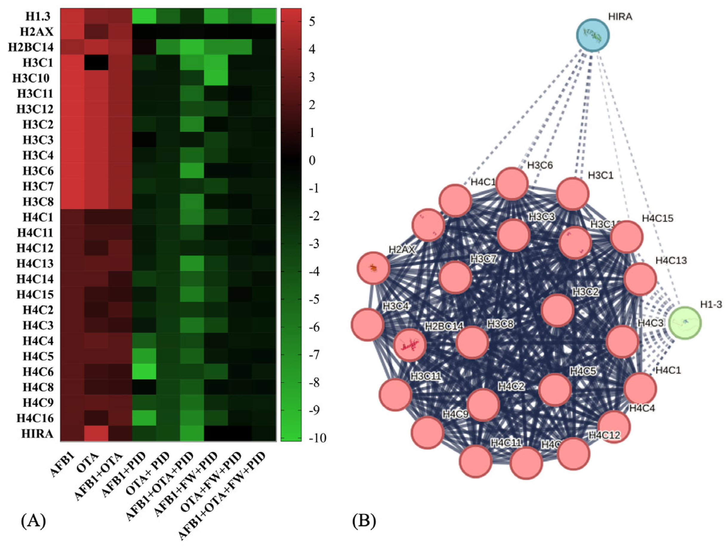 Antioxidants 14 00571 g007