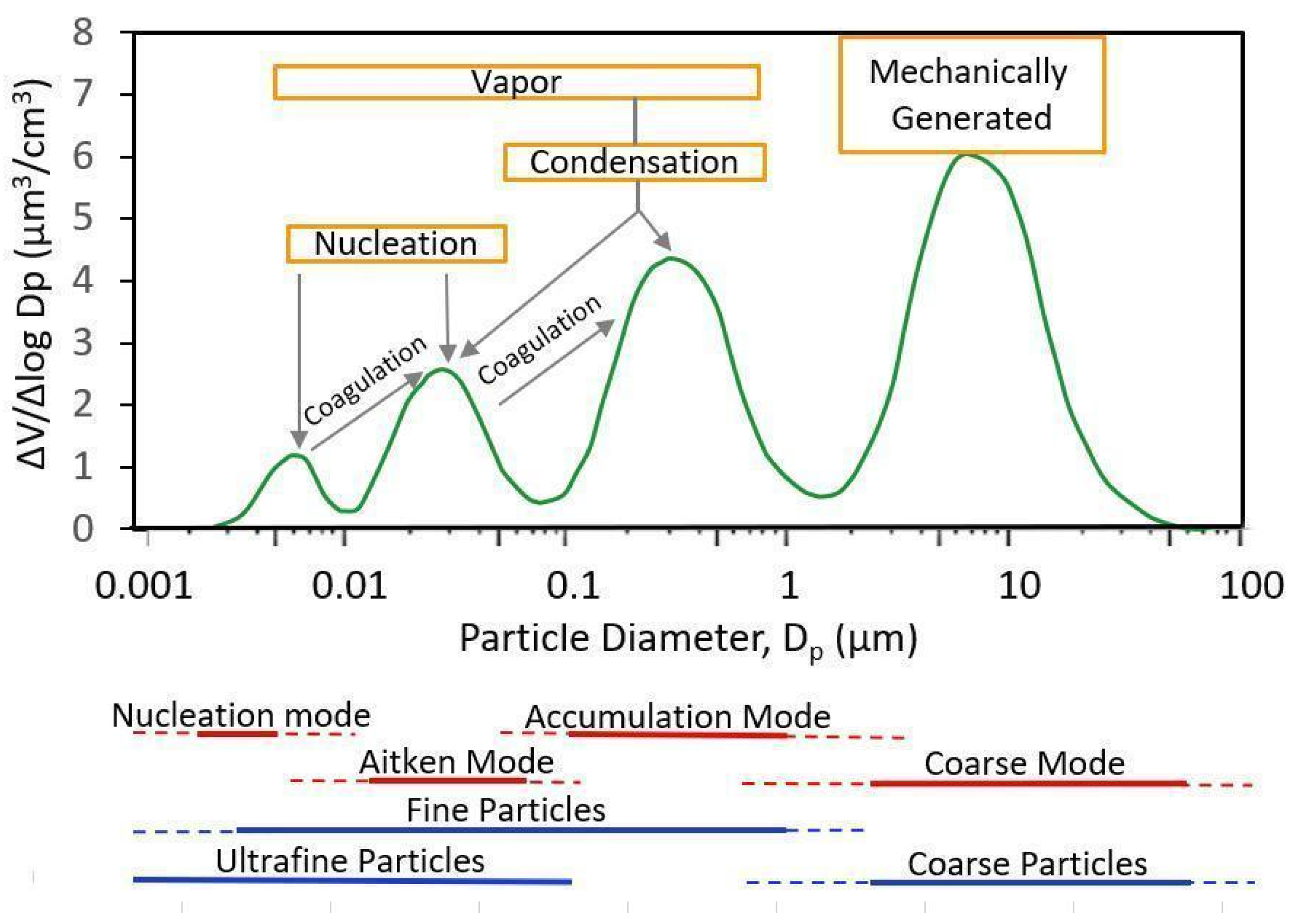 Antioxidants 14 00572 g001