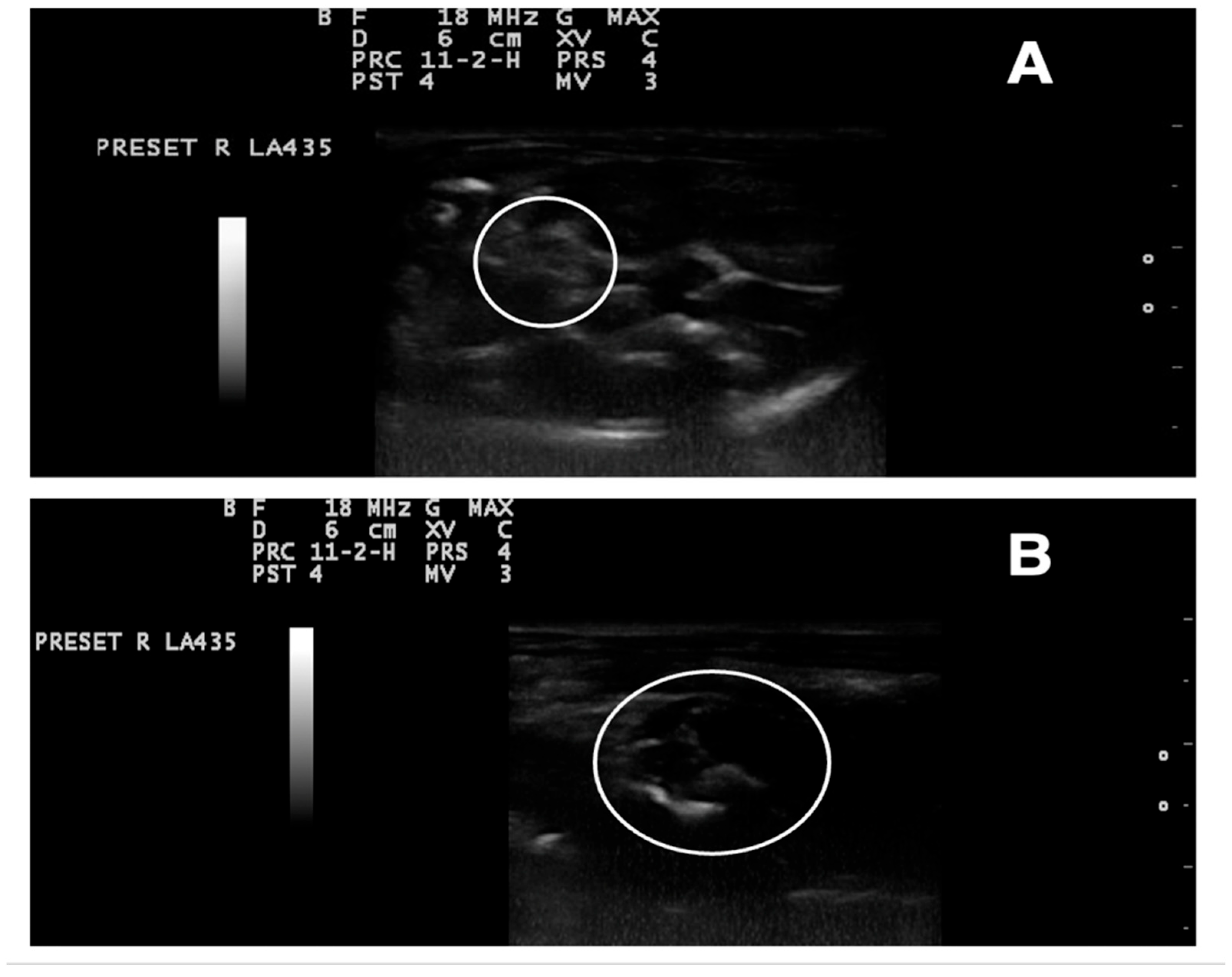 Antioxidants 14 00573 g010