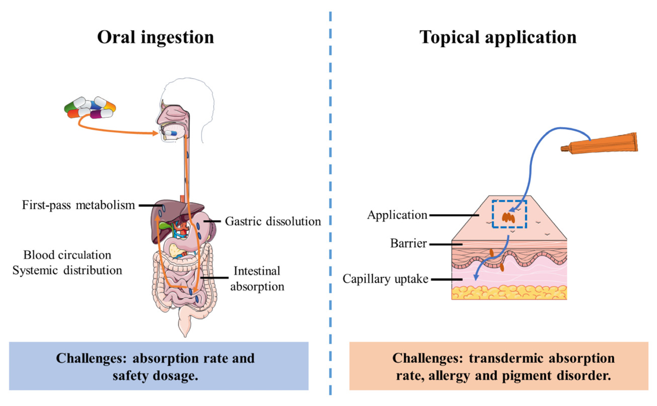 Antioxidants 14 00577 g005