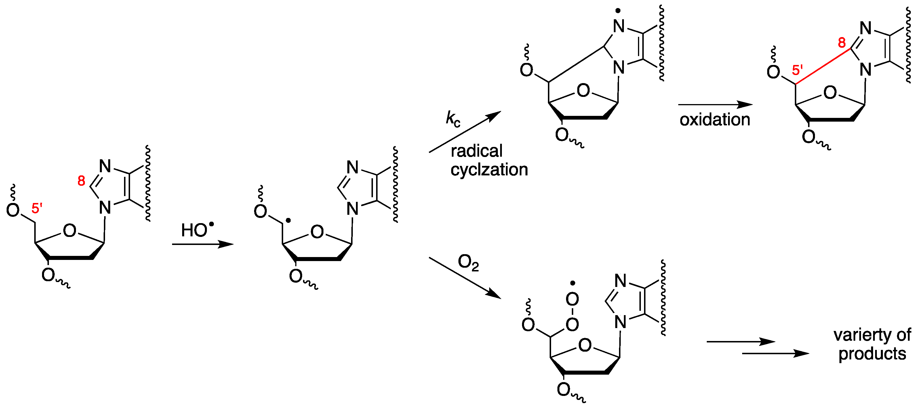 Antioxidants 14 00578 g003