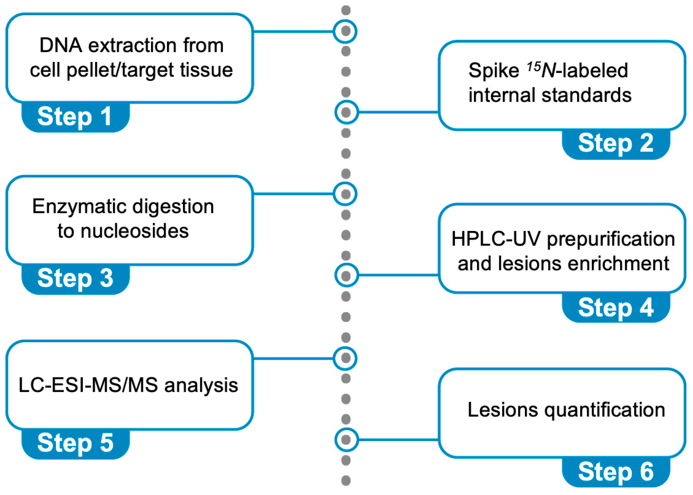 Antioxidants 14 00578 g006