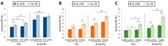 Antioxidants 14 00578 g008