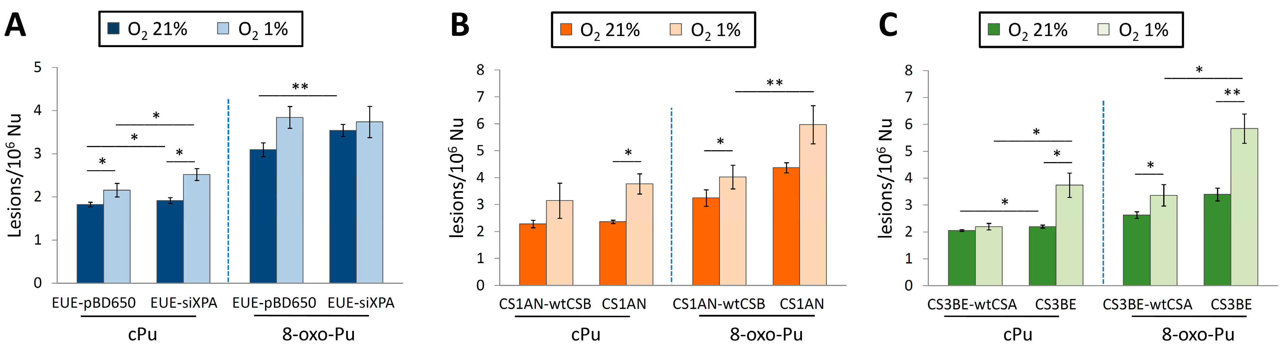 Antioxidants 14 00578 g008