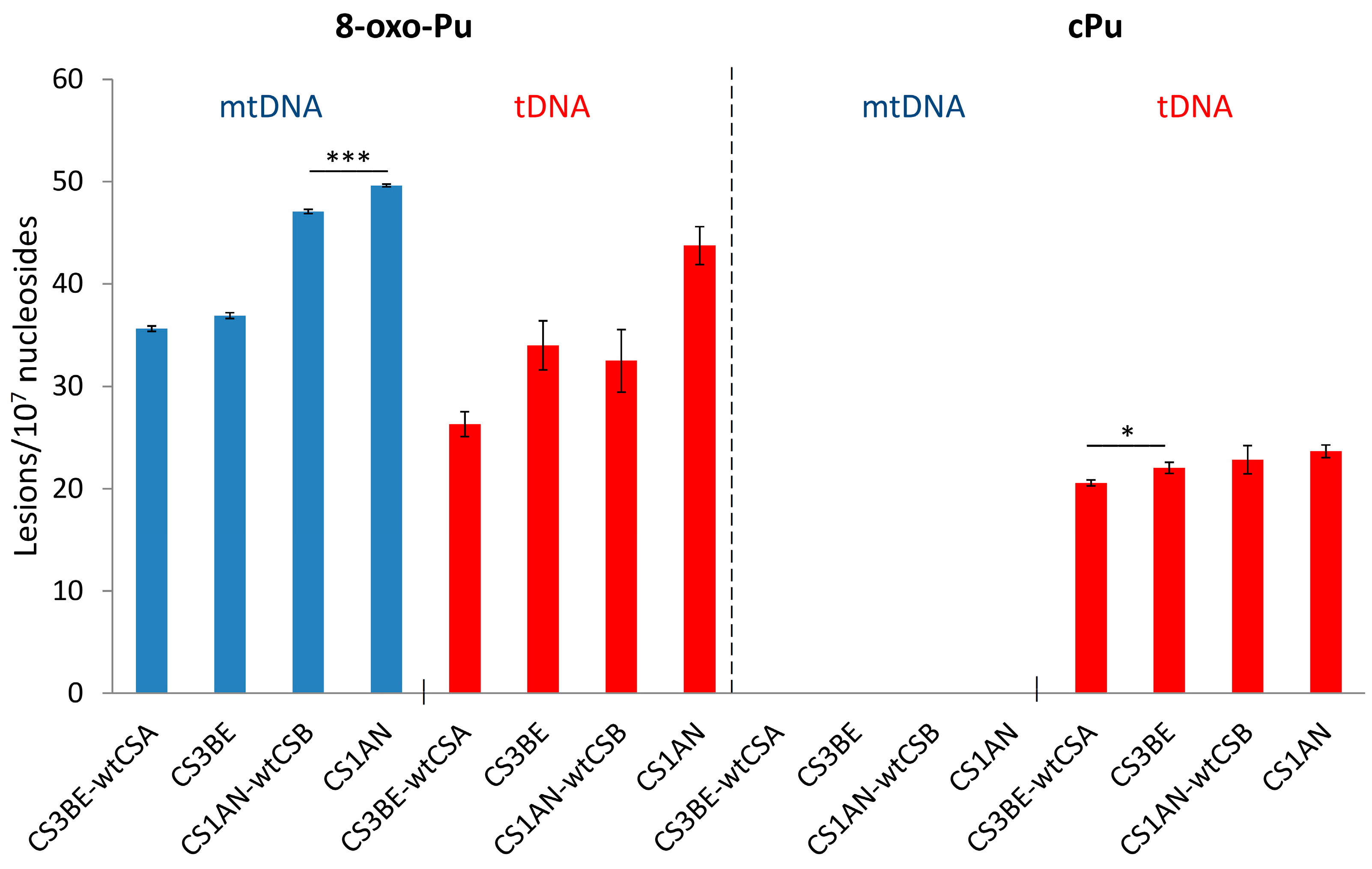 Antioxidants 14 00578 g009