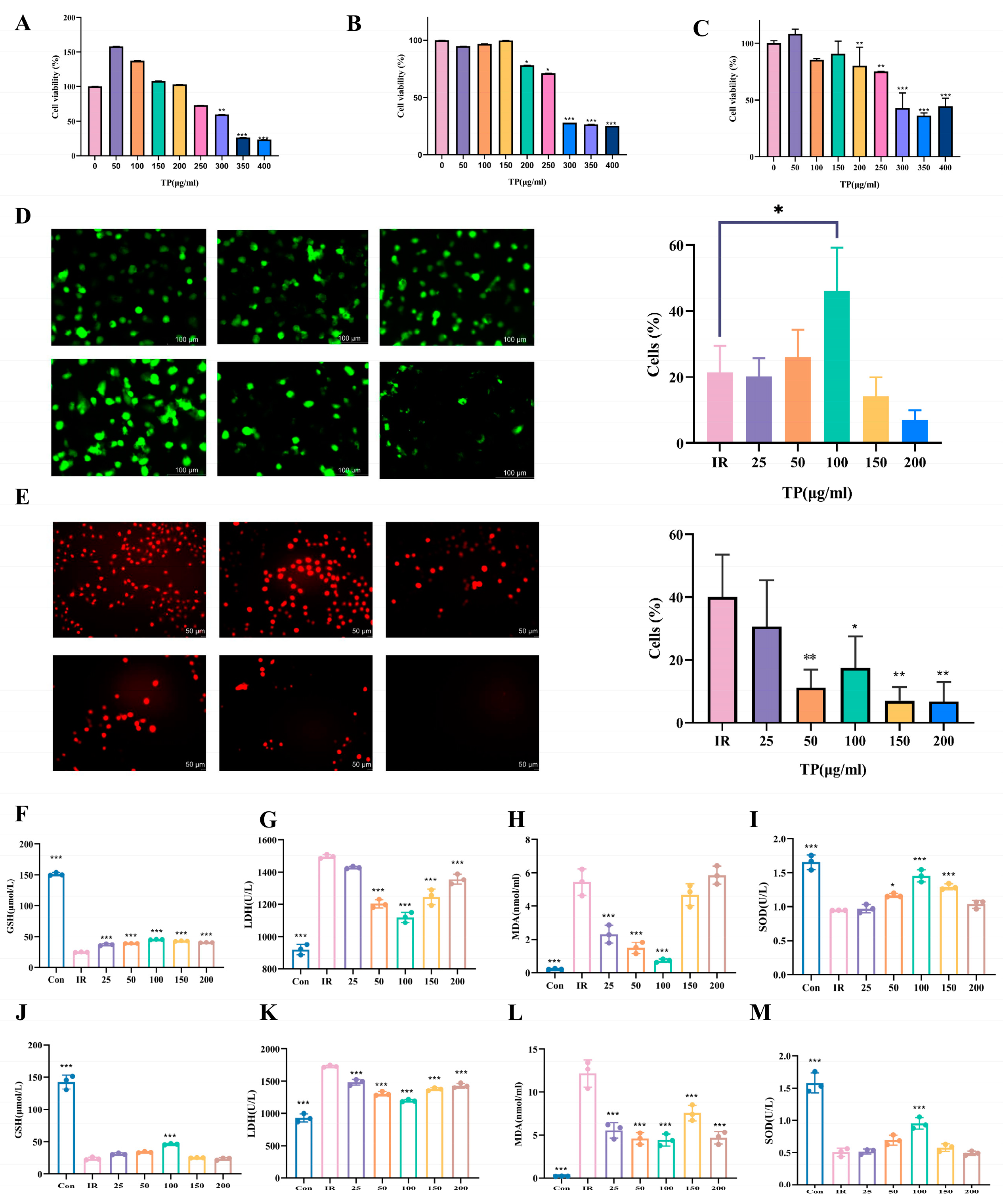 Antioxidants 14 00580 g001