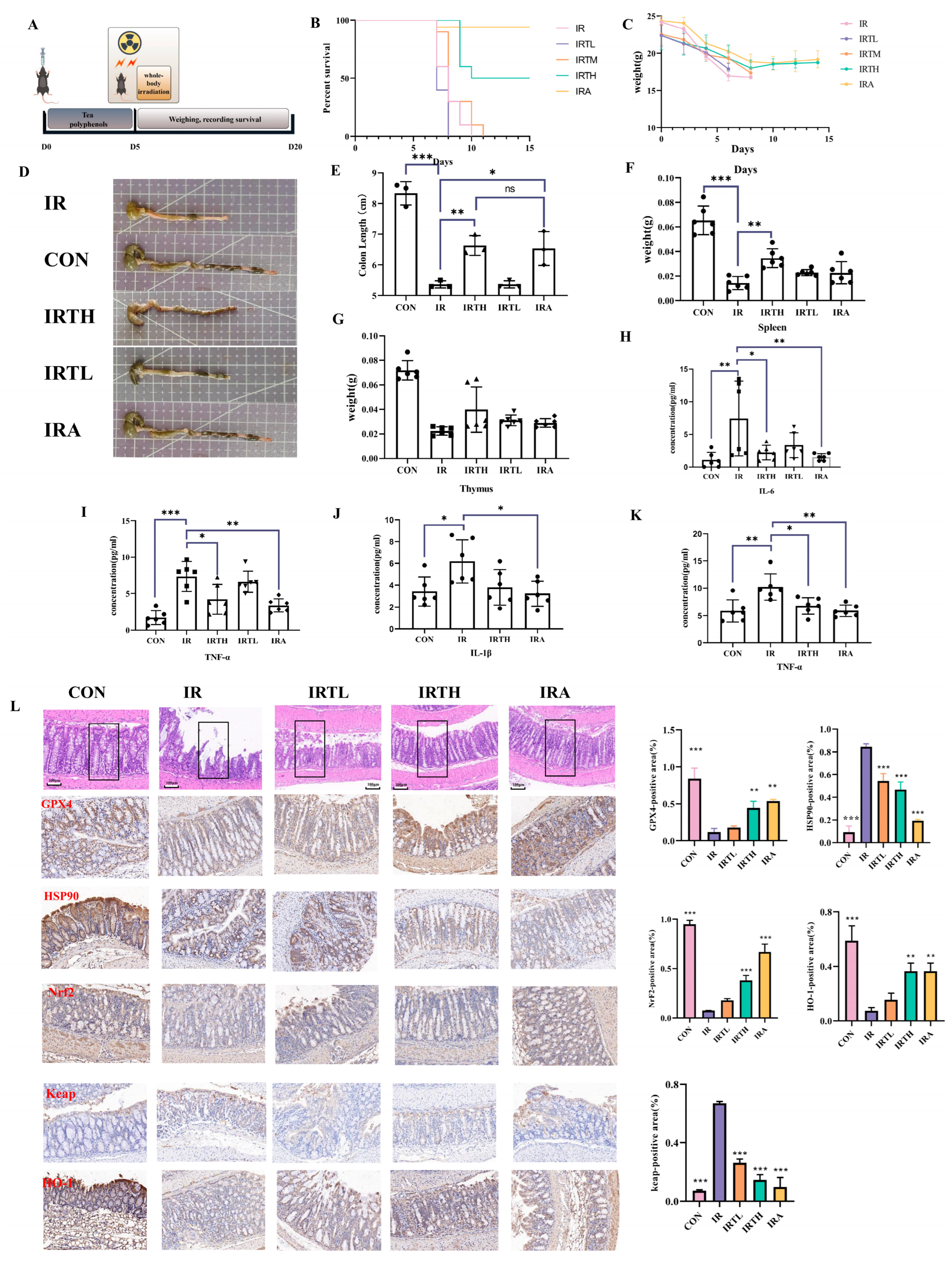 Antioxidants 14 00580 g005