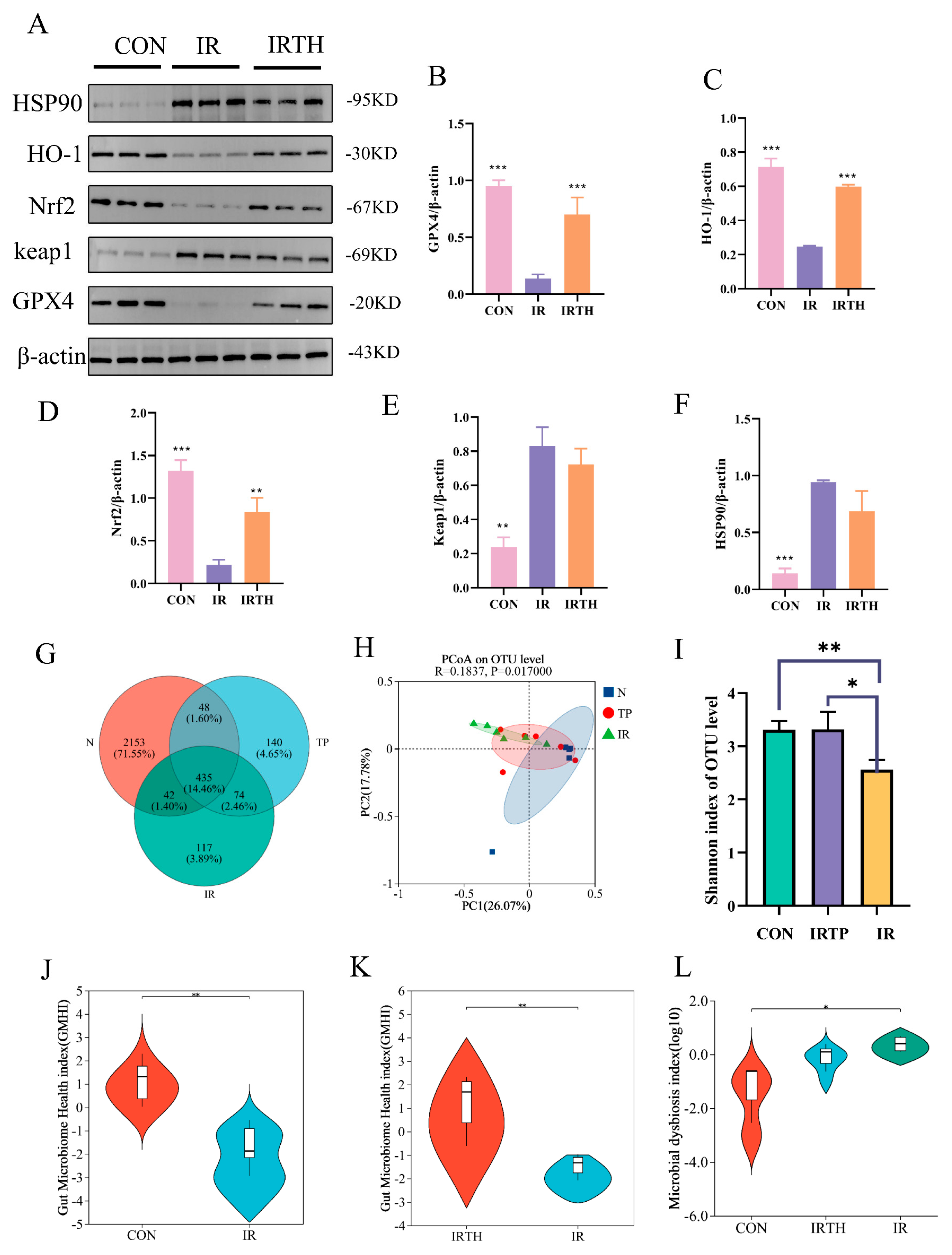 Antioxidants 14 00580 g006