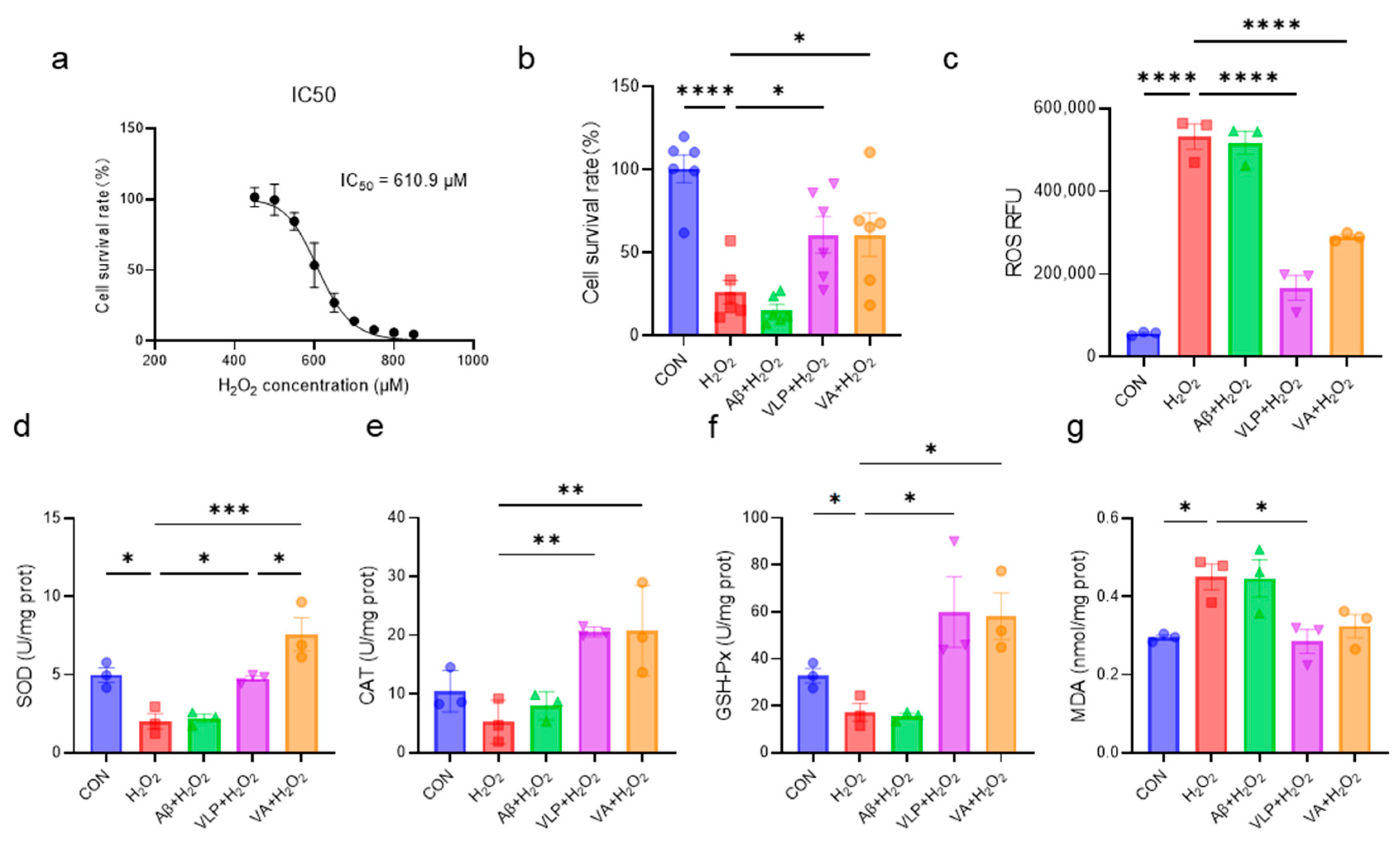 Antioxidants 14 00583 g001
