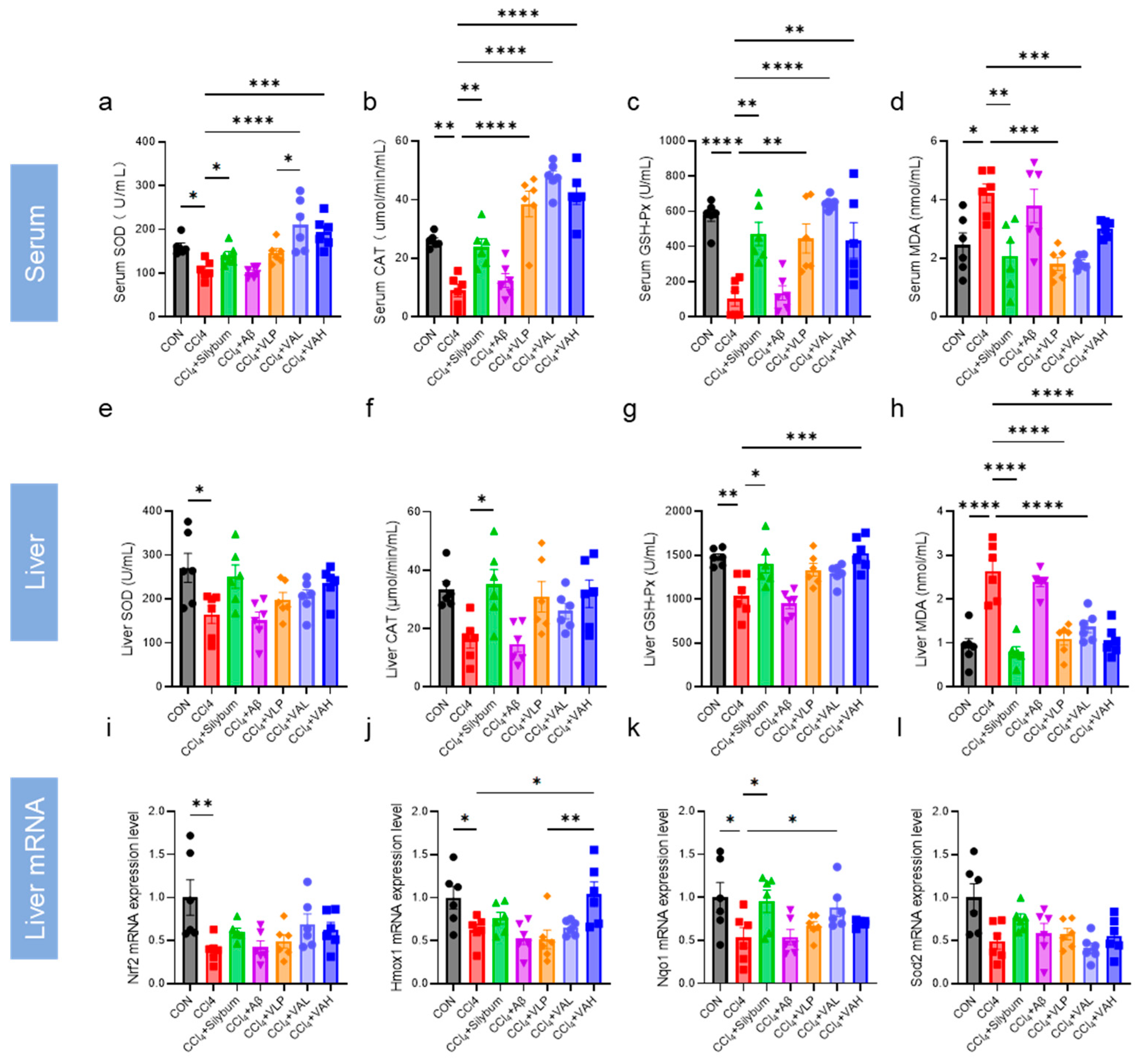 Antioxidants 14 00583 g004