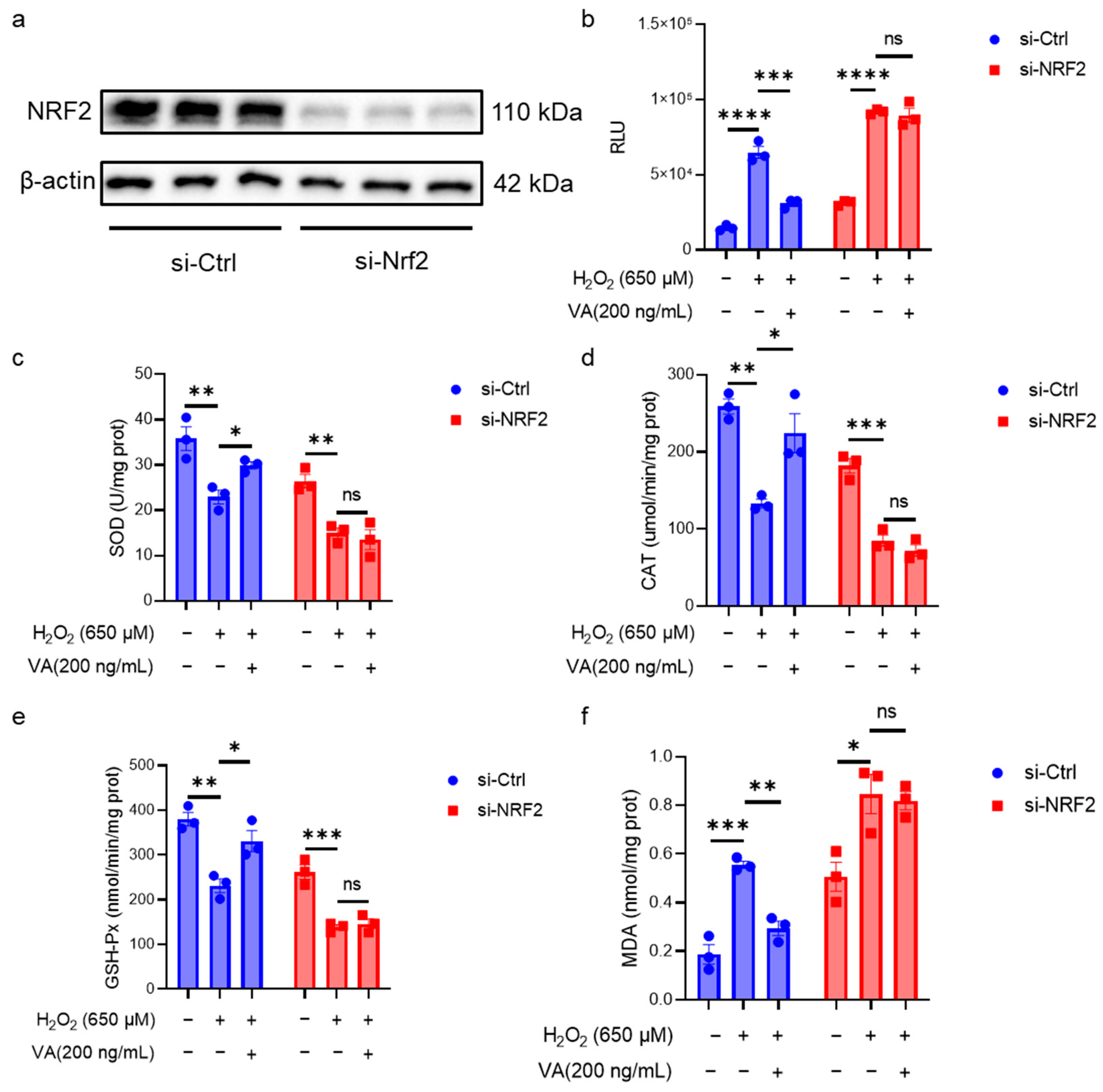 Antioxidants 14 00583 g005