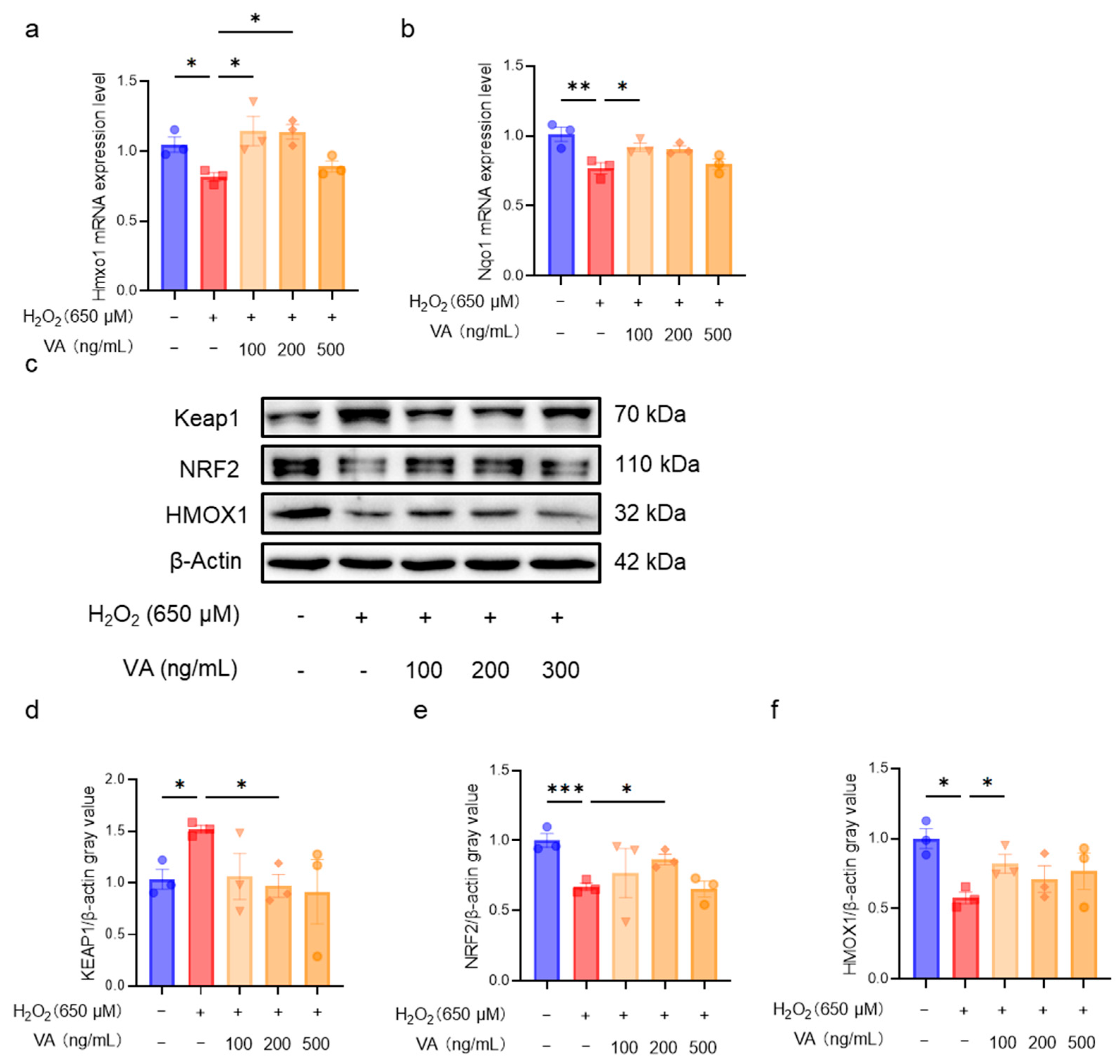 Antioxidants 14 00583 g006