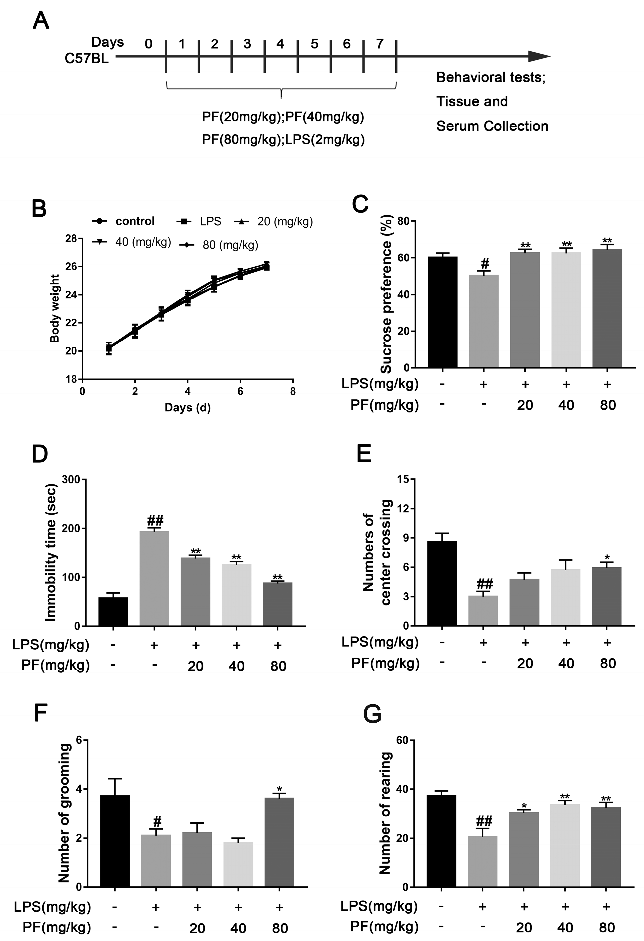 Antioxidants 14 00585 g001